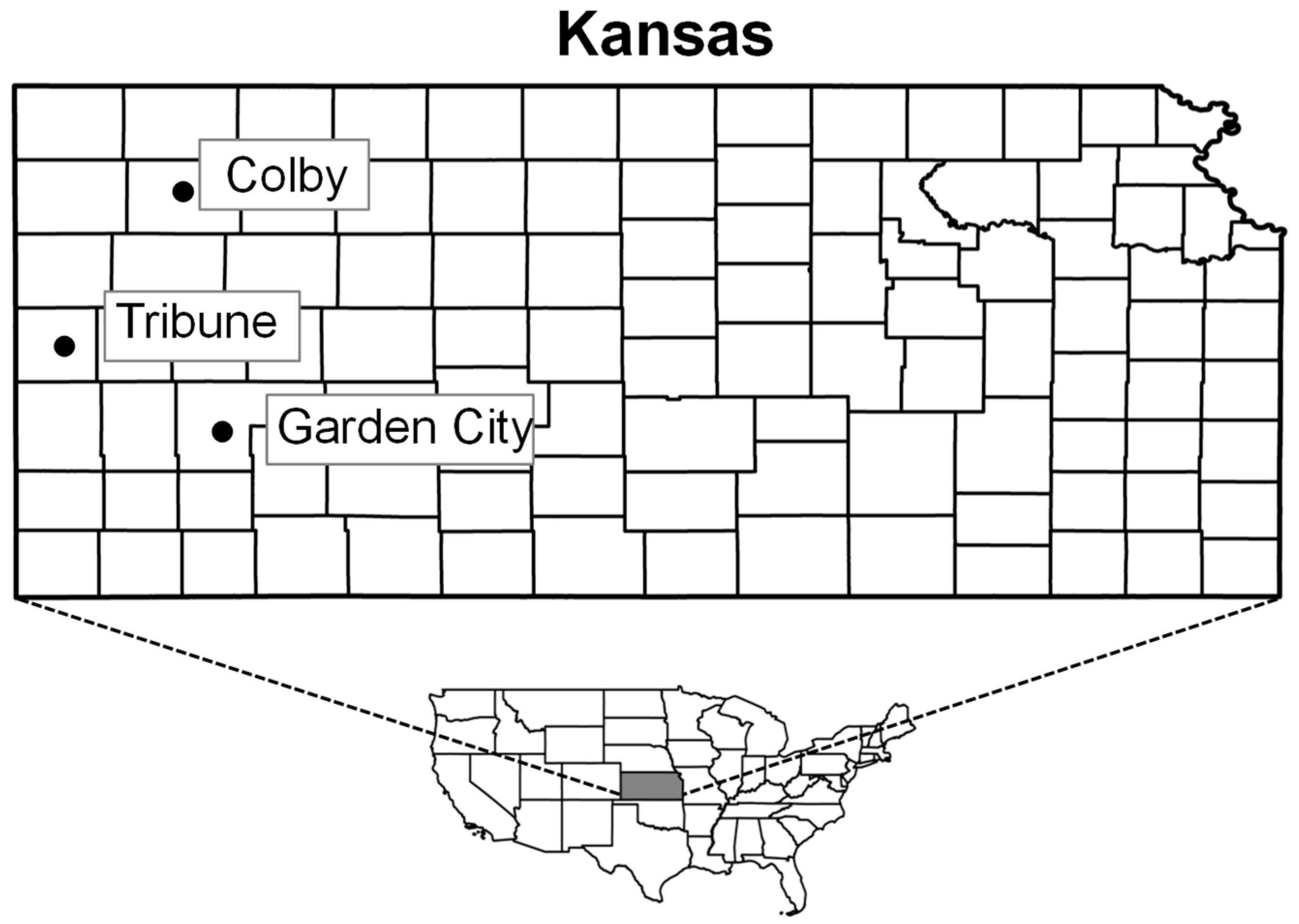 Agronomy 14 01303 g001