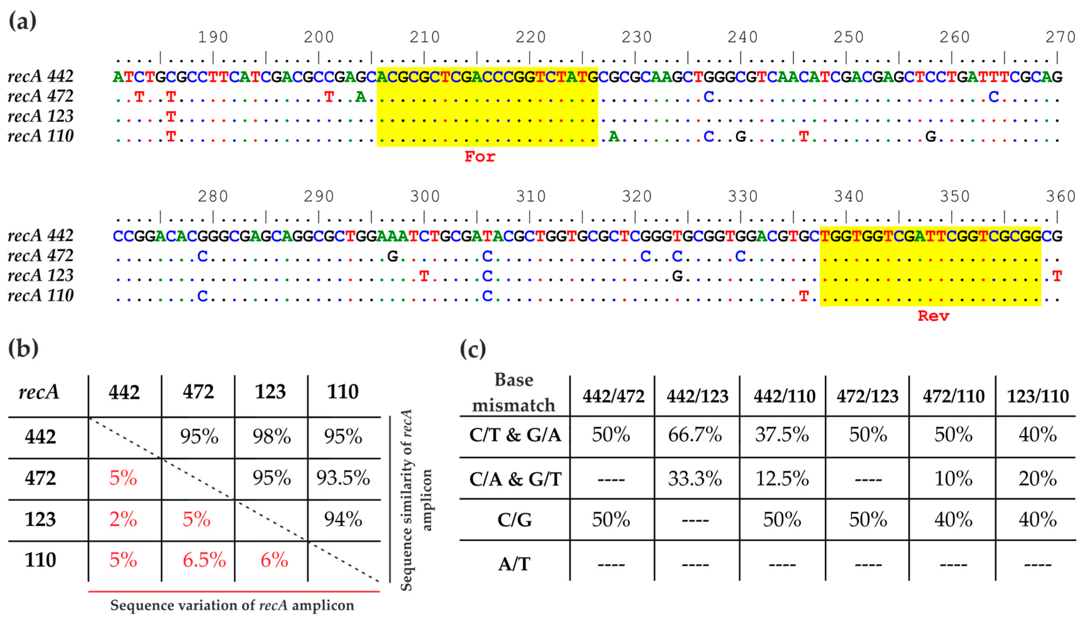 Agronomy 14 01305 g001