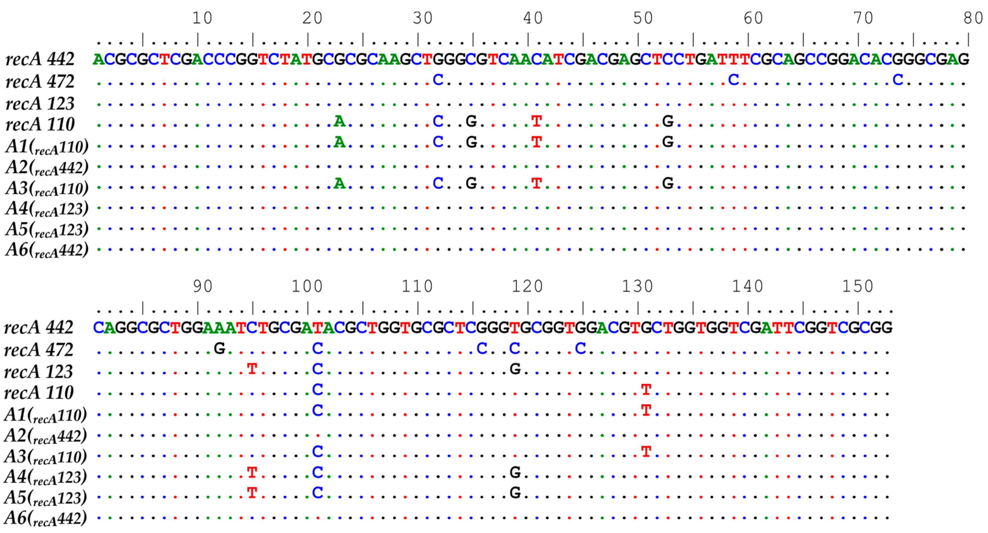 Agronomy 14 01305 g006