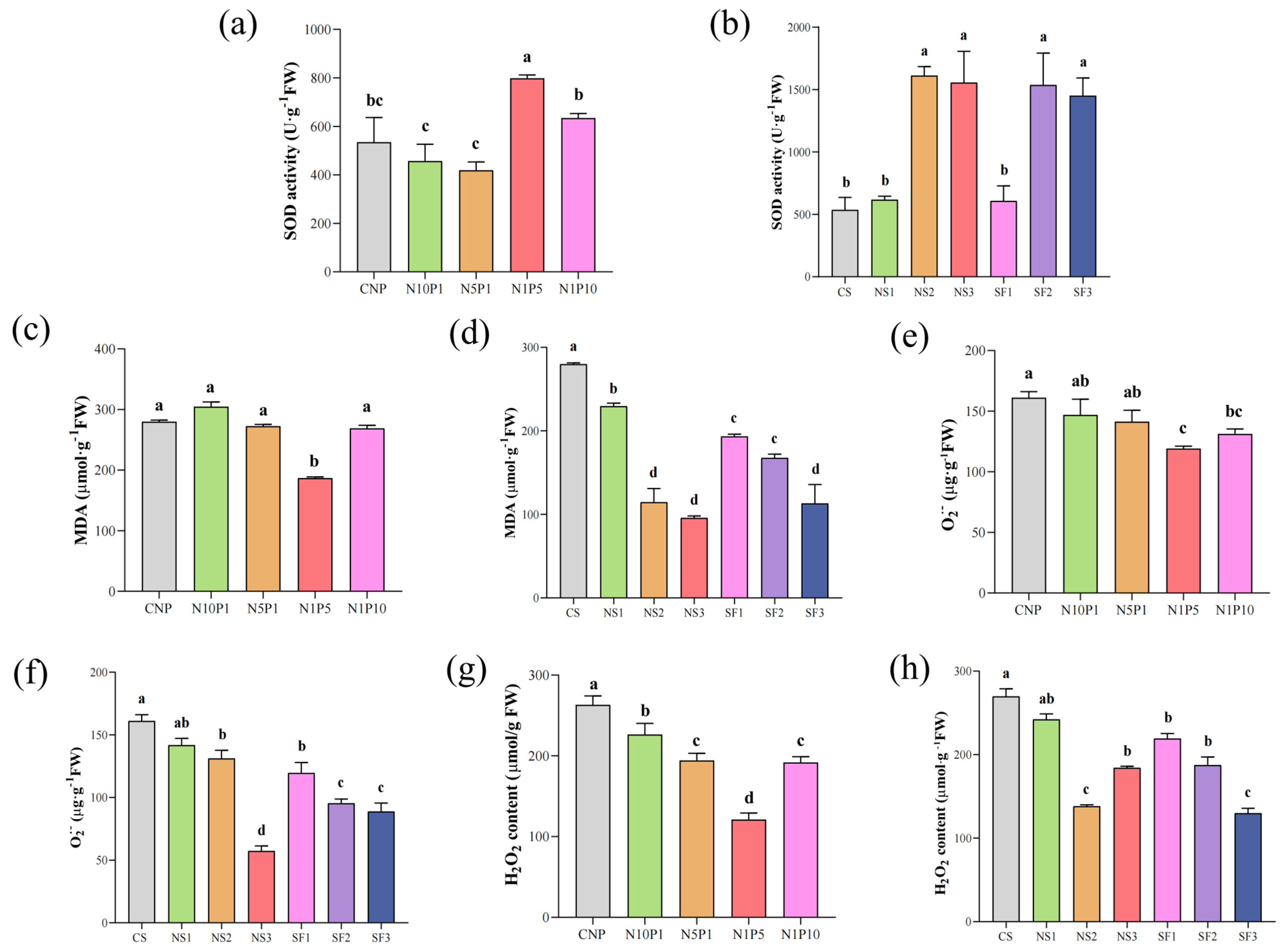 Agronomy 14 01312 g002