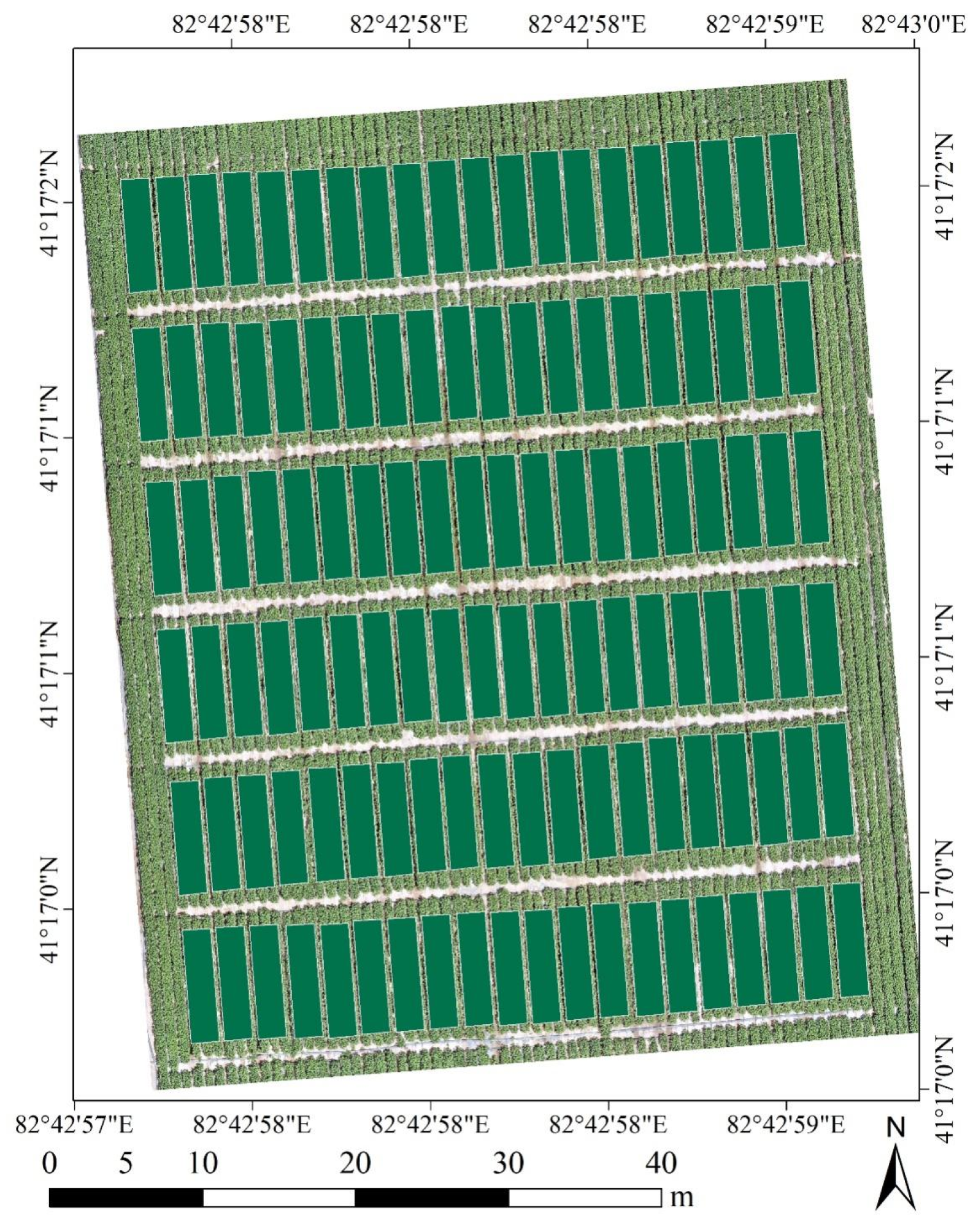 Agronomy 14 01313 g001