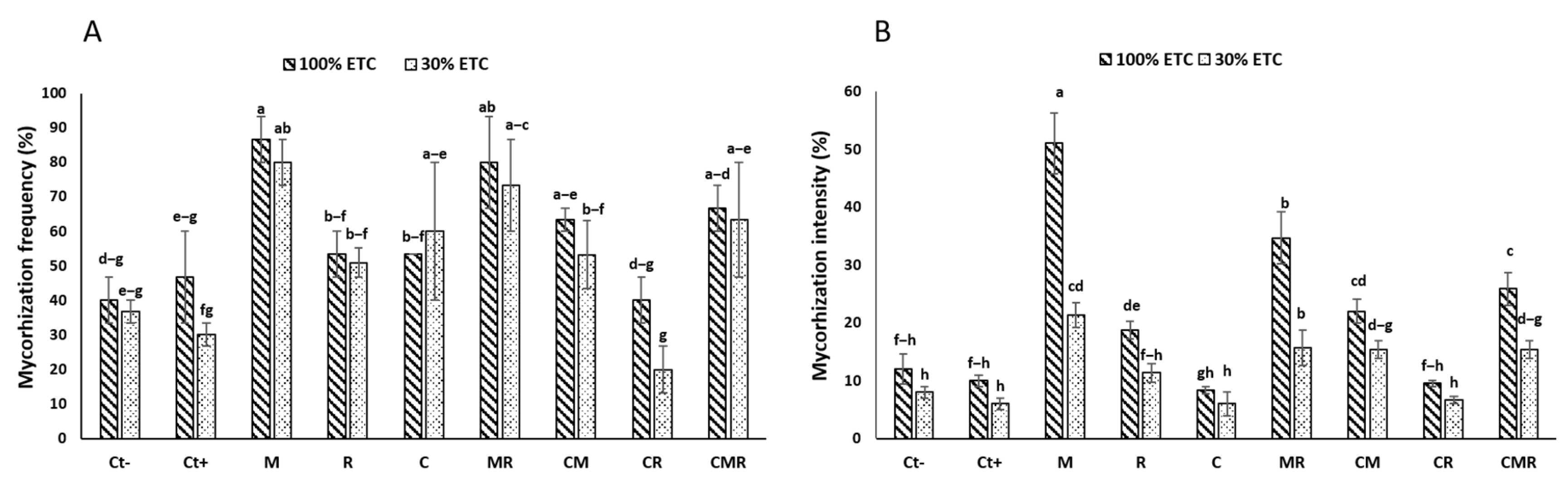 Agronomy 14 01316 g002