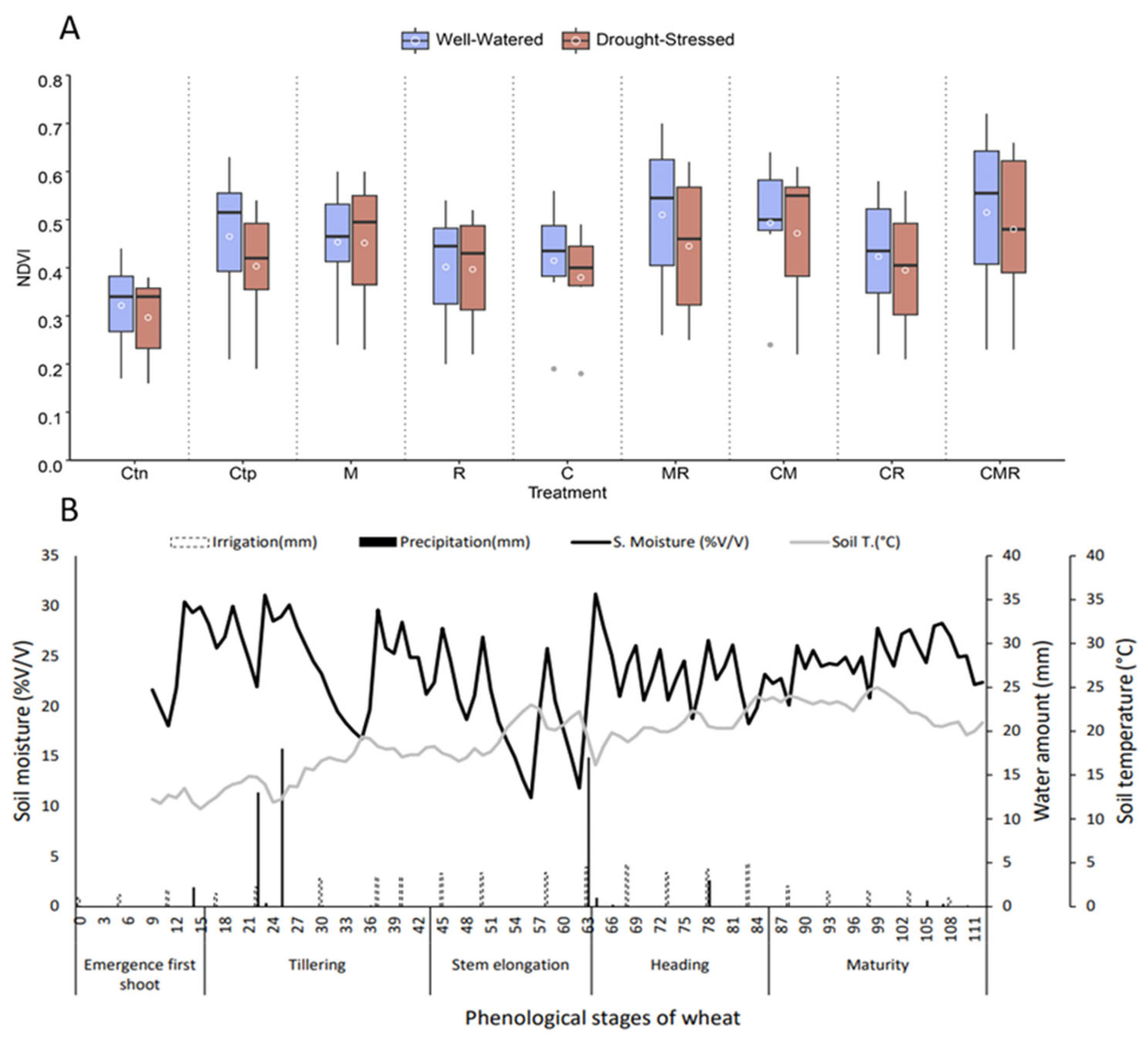 Agronomy 14 01316 g006