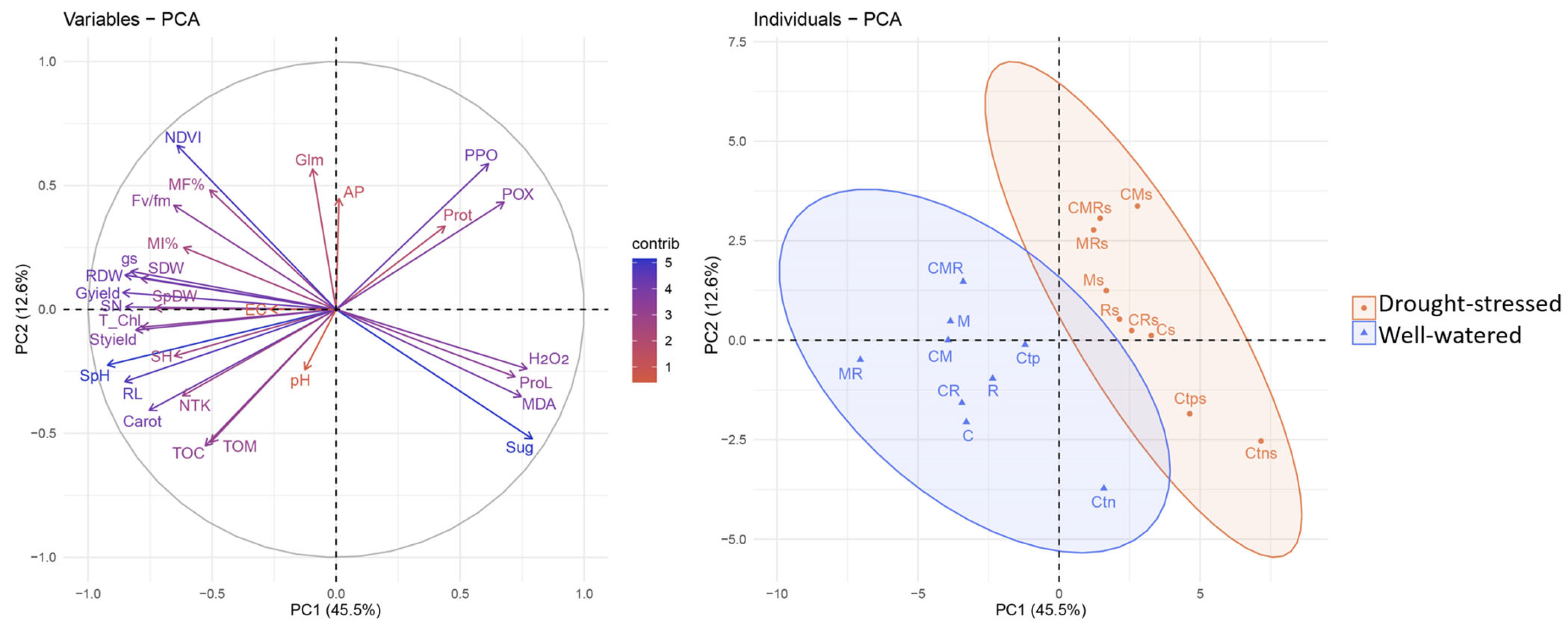 Agronomy 14 01316 g007