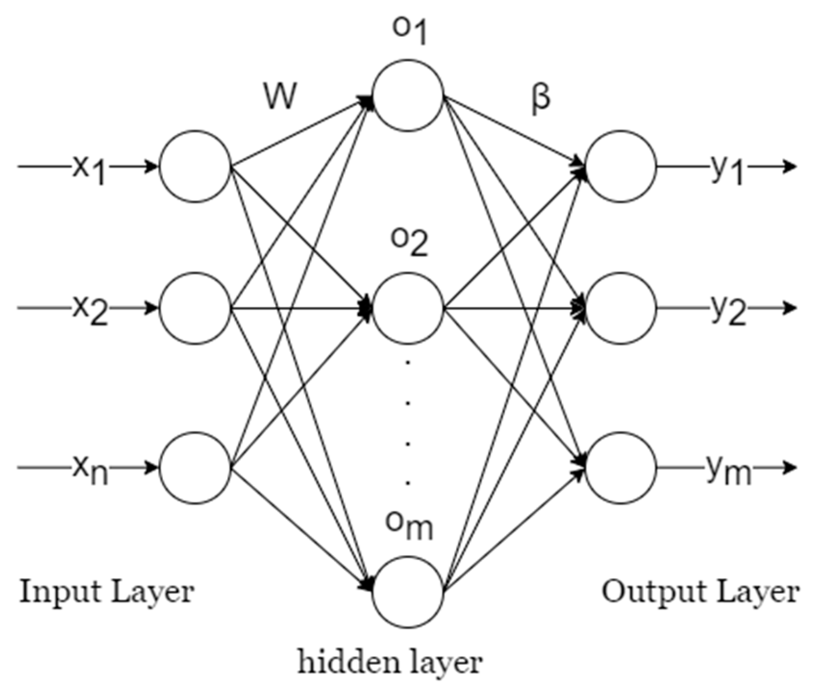 Sunflower Origin Identification Based on Multi-Source Information ...