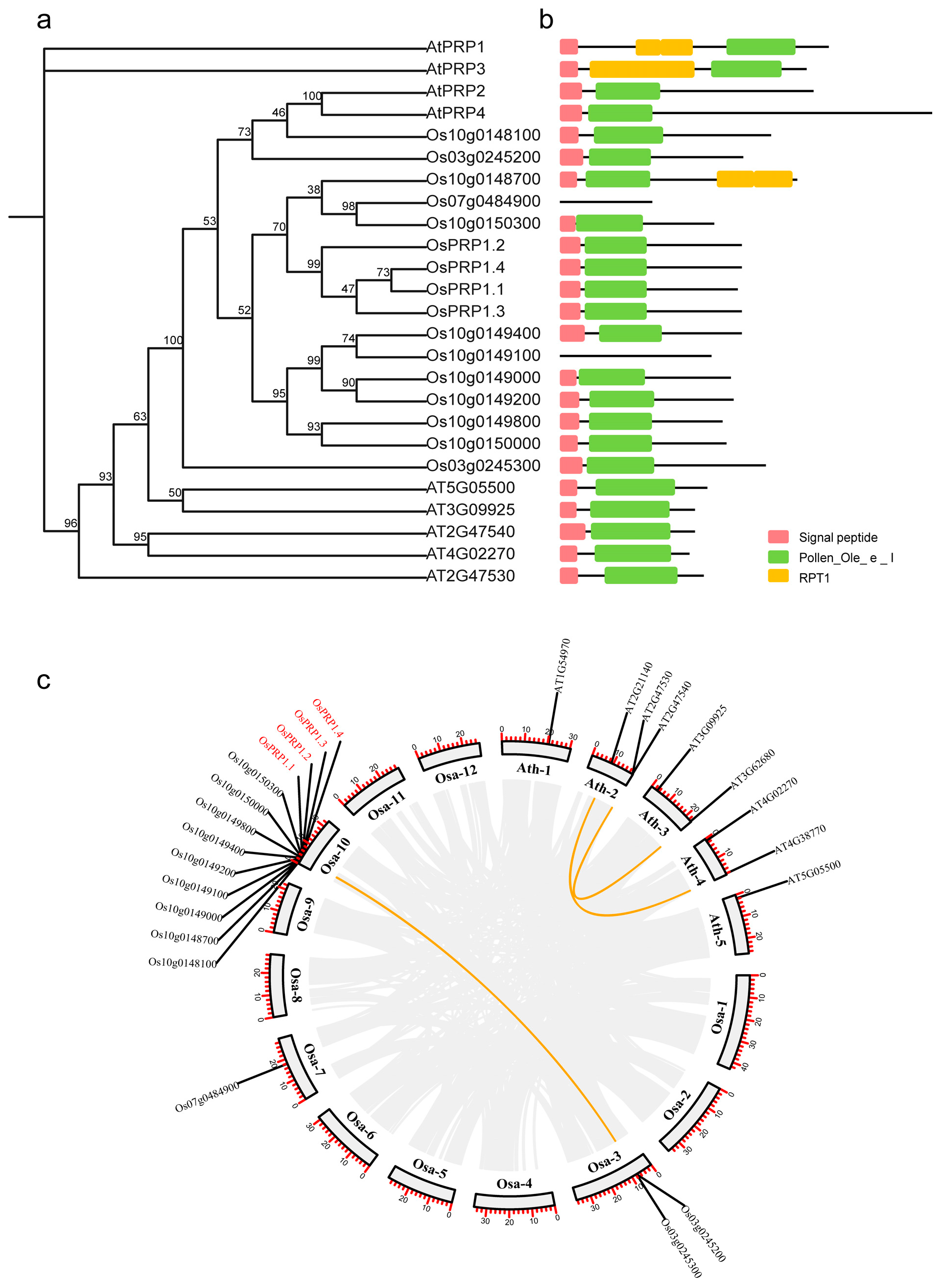 Agronomy 14 01323 g001