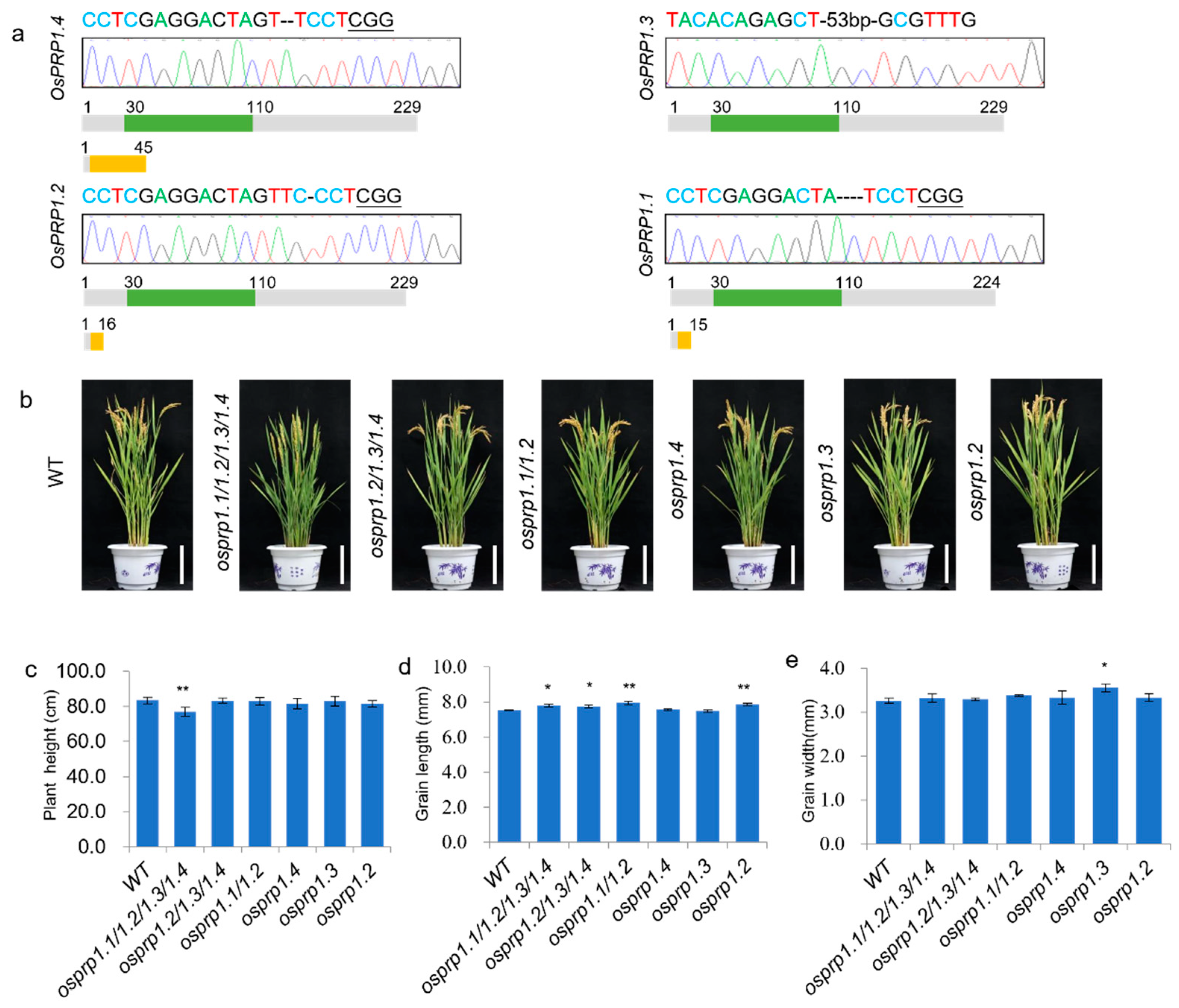 Agronomy 14 01323 g003