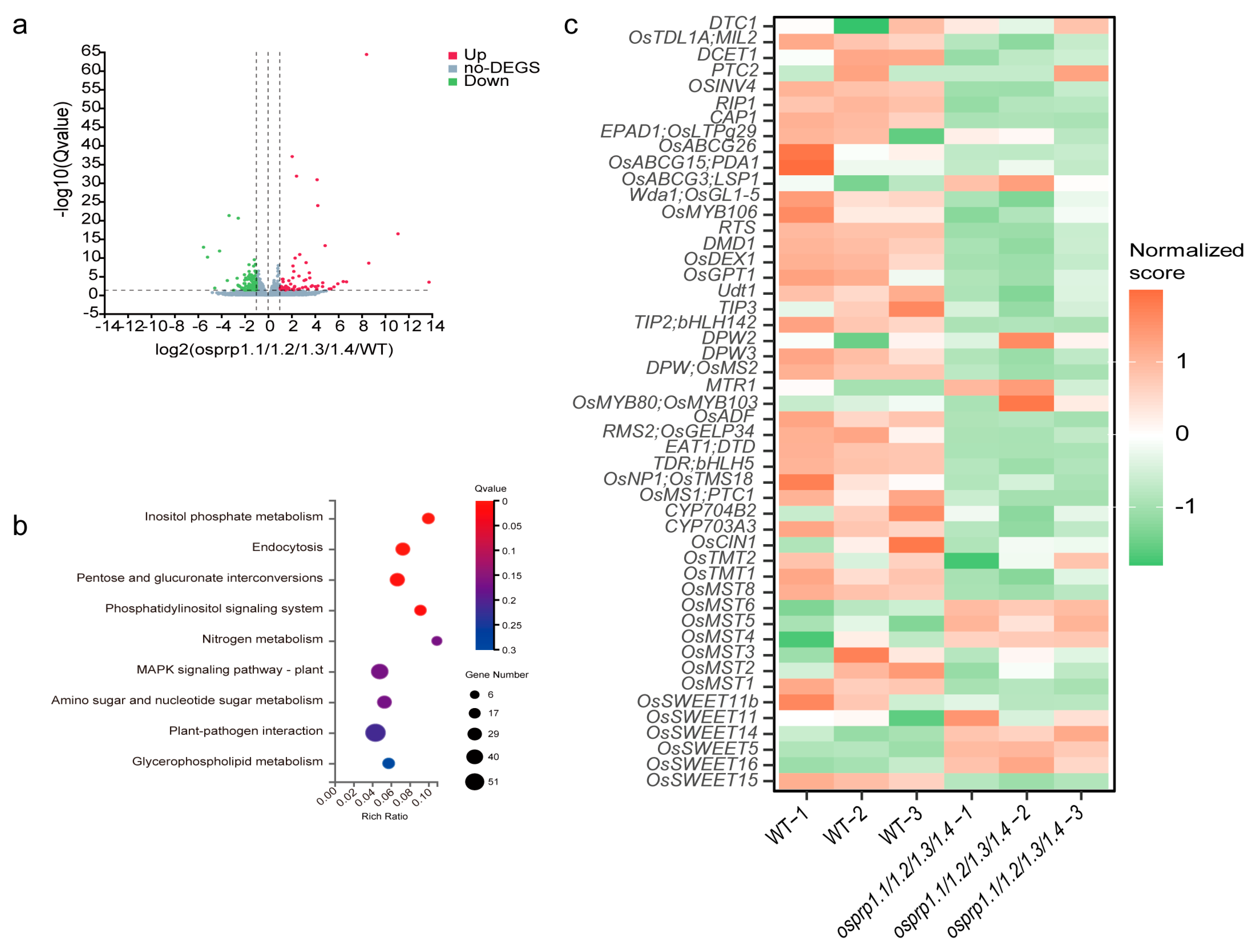 Agronomy 14 01323 g005