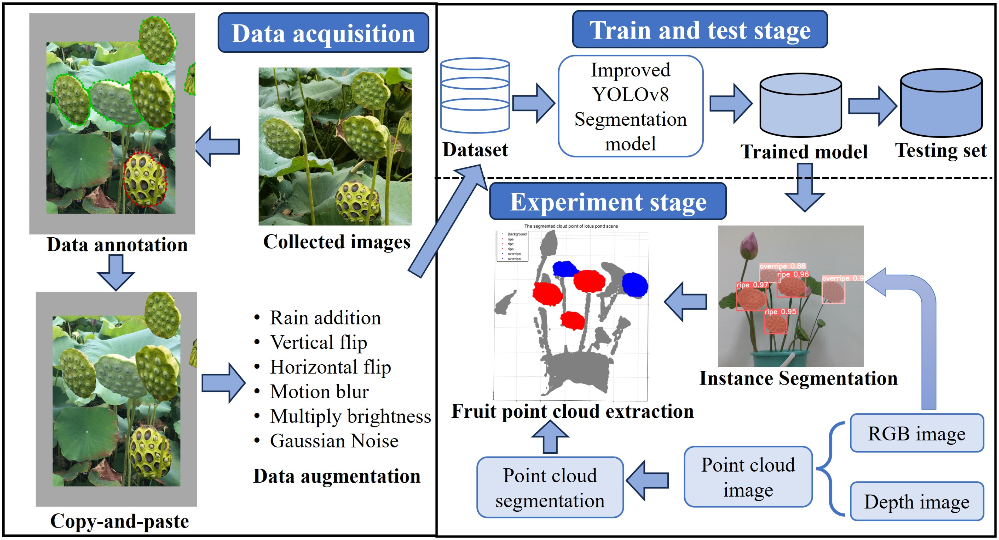 Agronomy 14 01325 g002