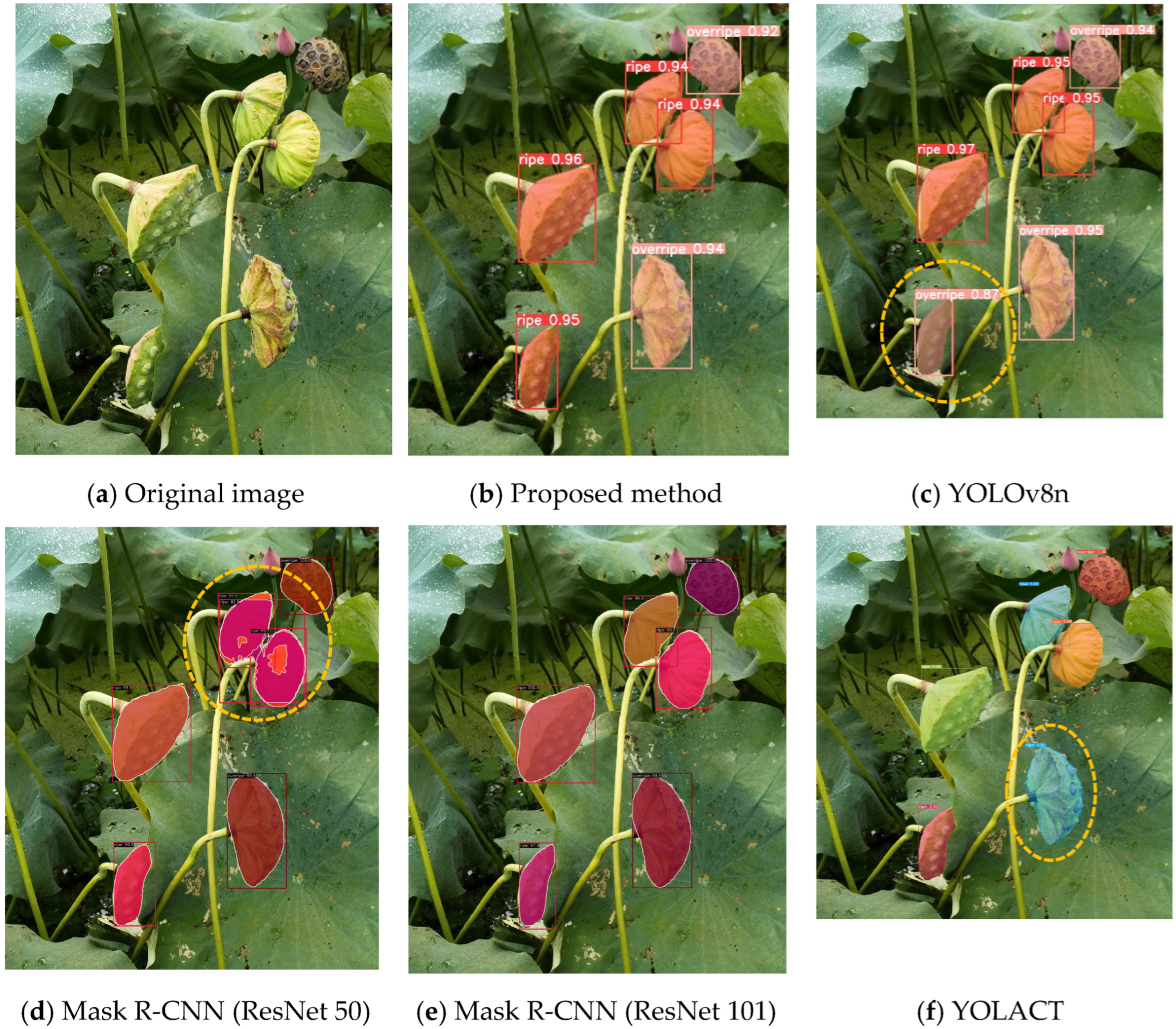Agronomy 14 01325 g011