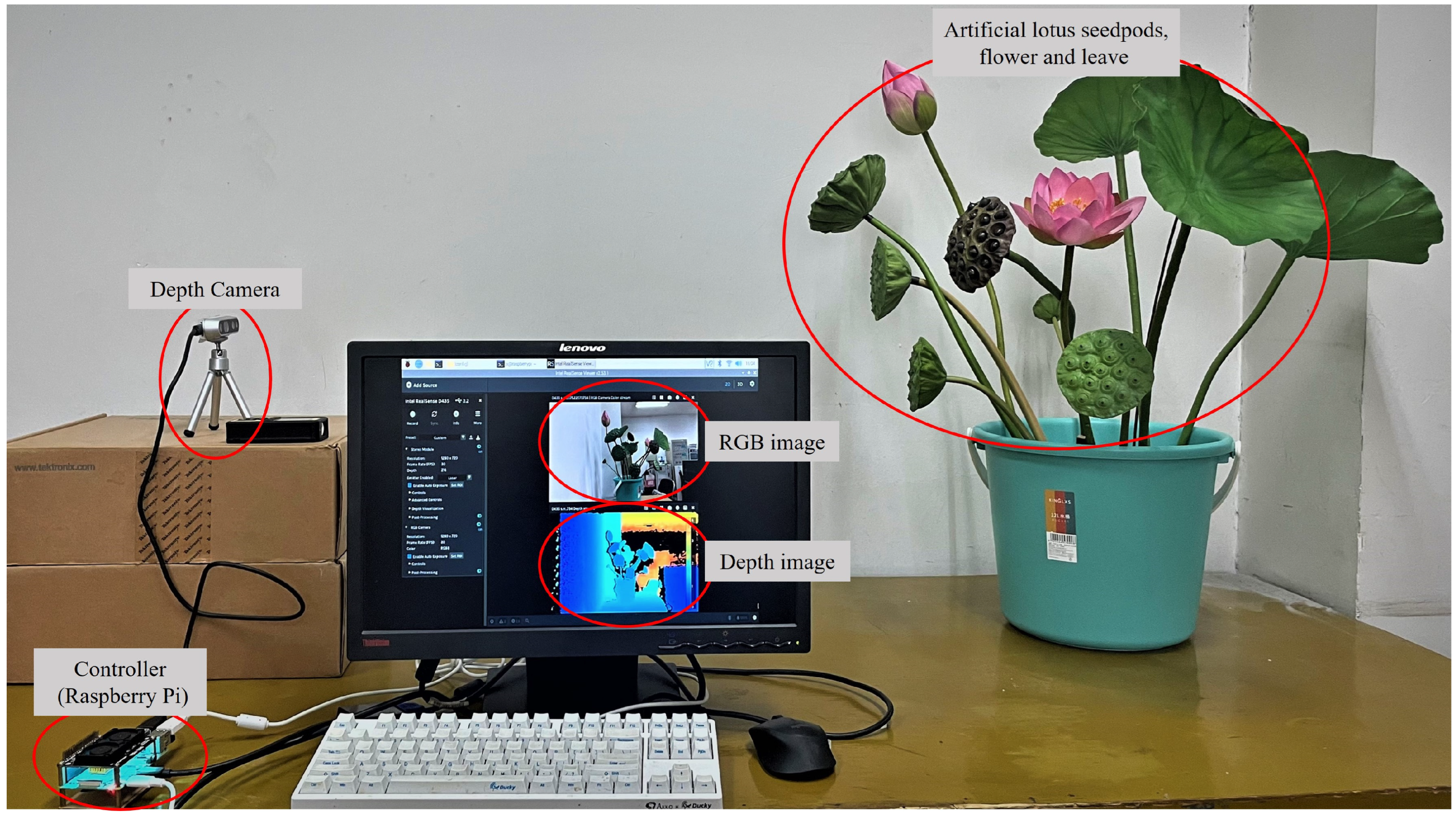 Agronomy 14 01325 g012