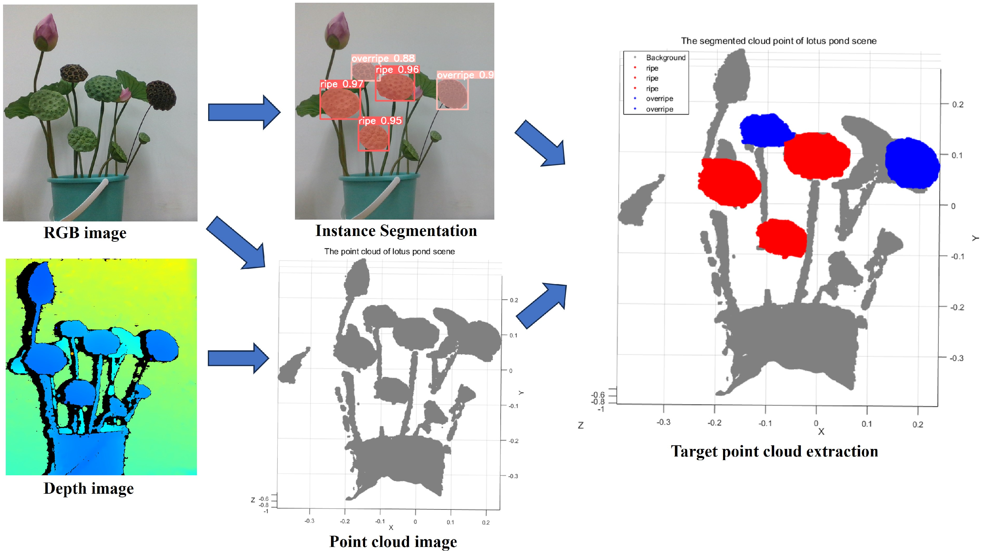 Agronomy 14 01325 g013