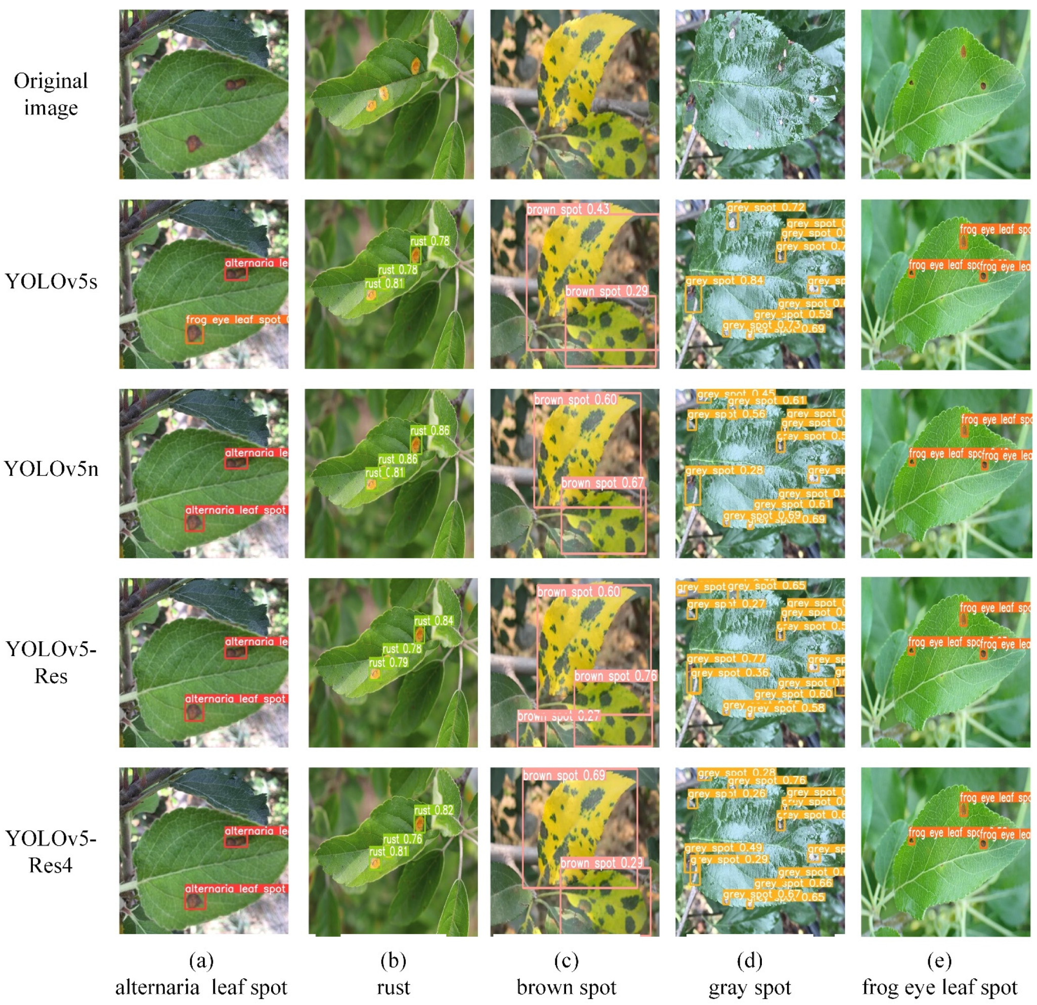 Agronomy 14 01331 g007