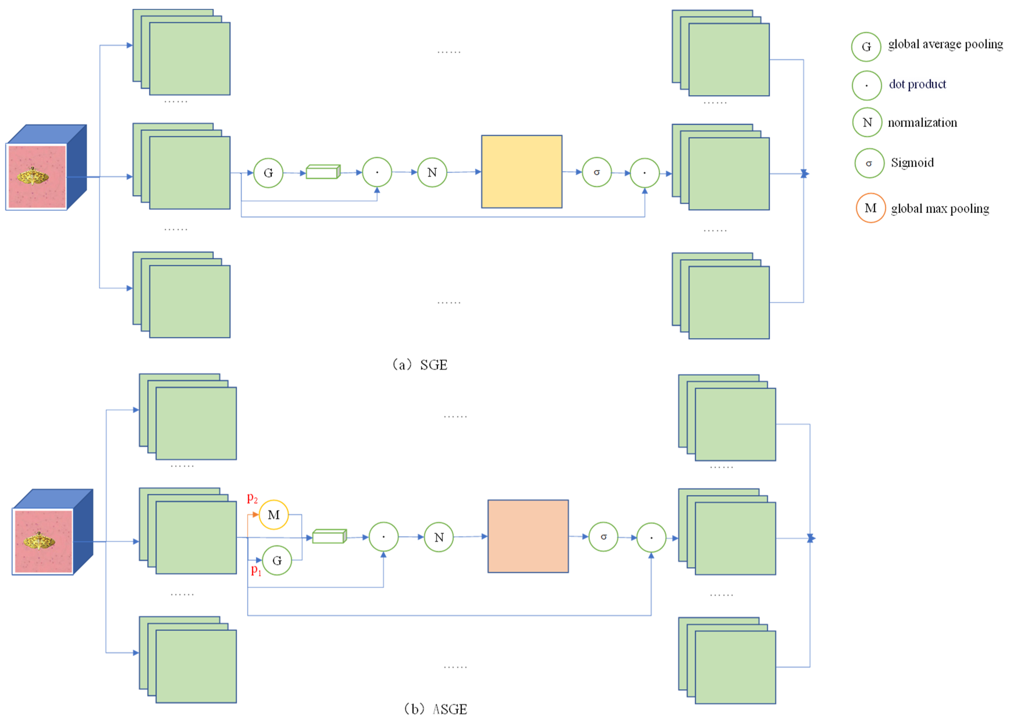 Agronomy 14 01334 g004