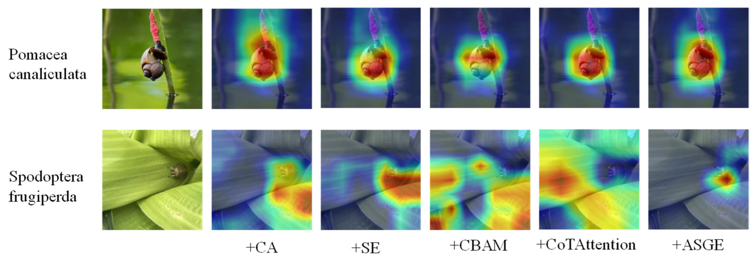 Agronomy 14 01334 g011