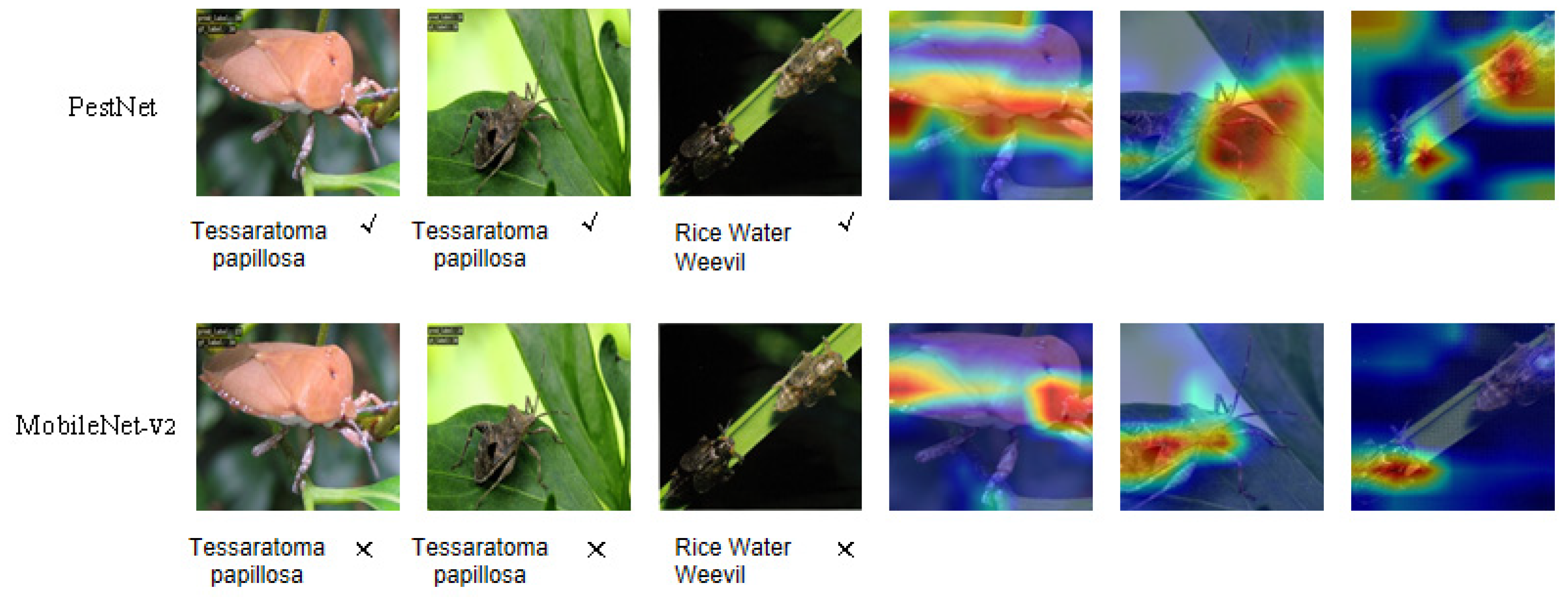 Agronomy 14 01334 g012