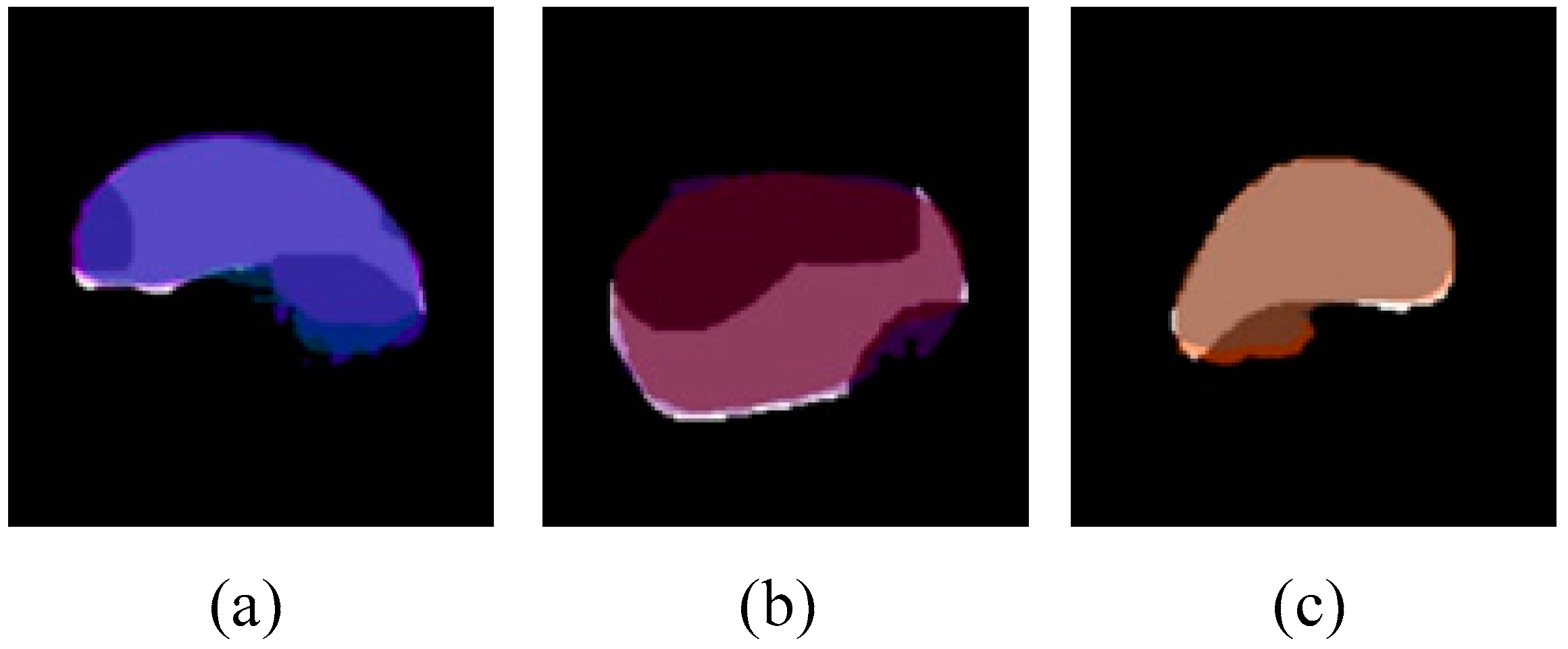 Agronomy 14 01337 g015