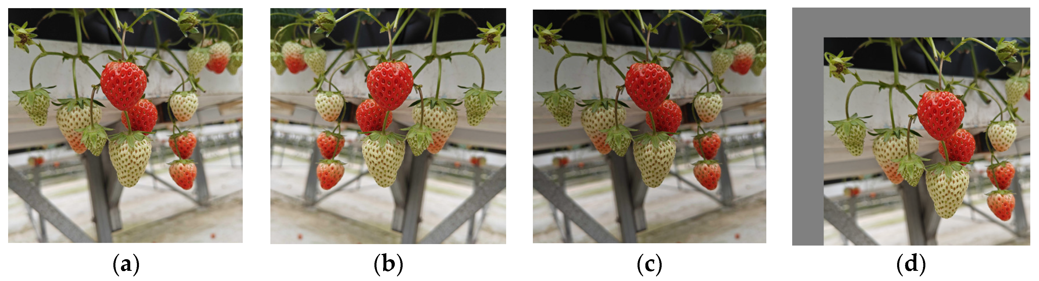 Agronomy 14 01353 g002