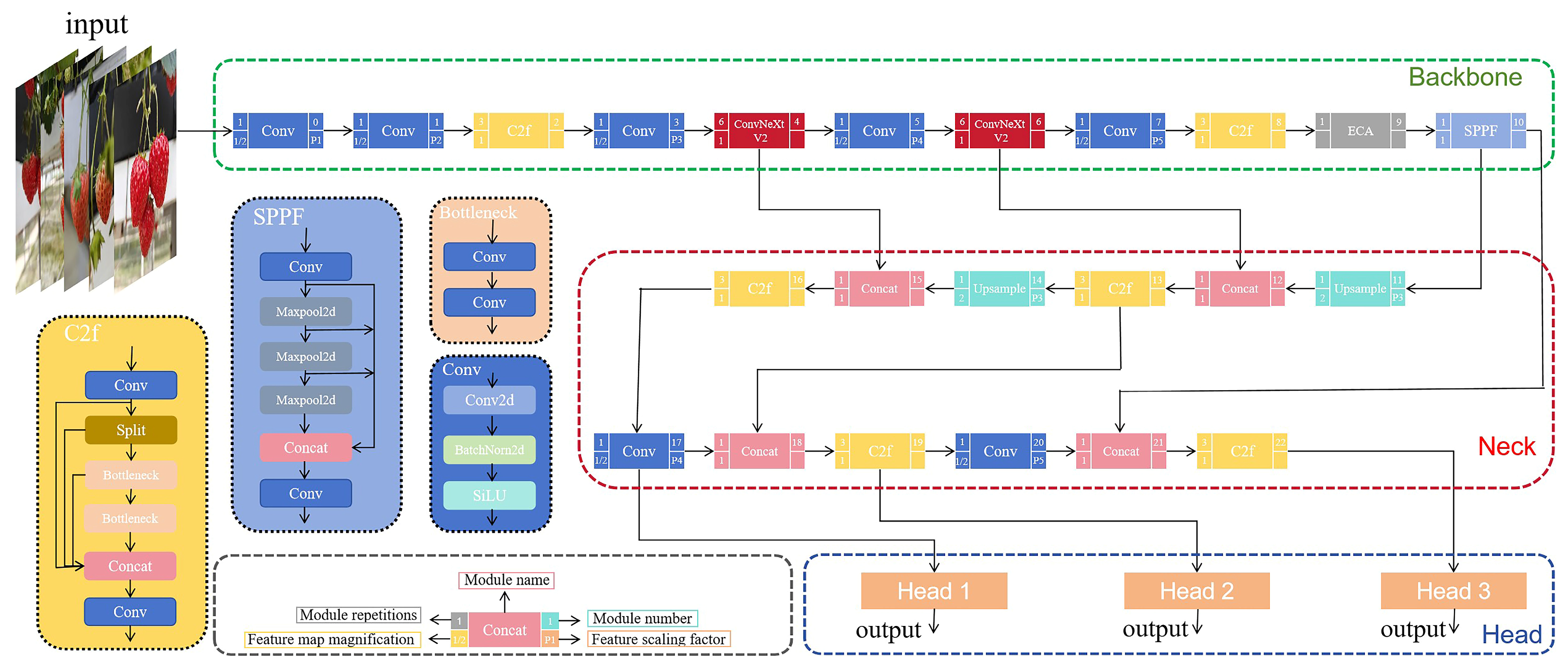 Agronomy 14 01353 g004