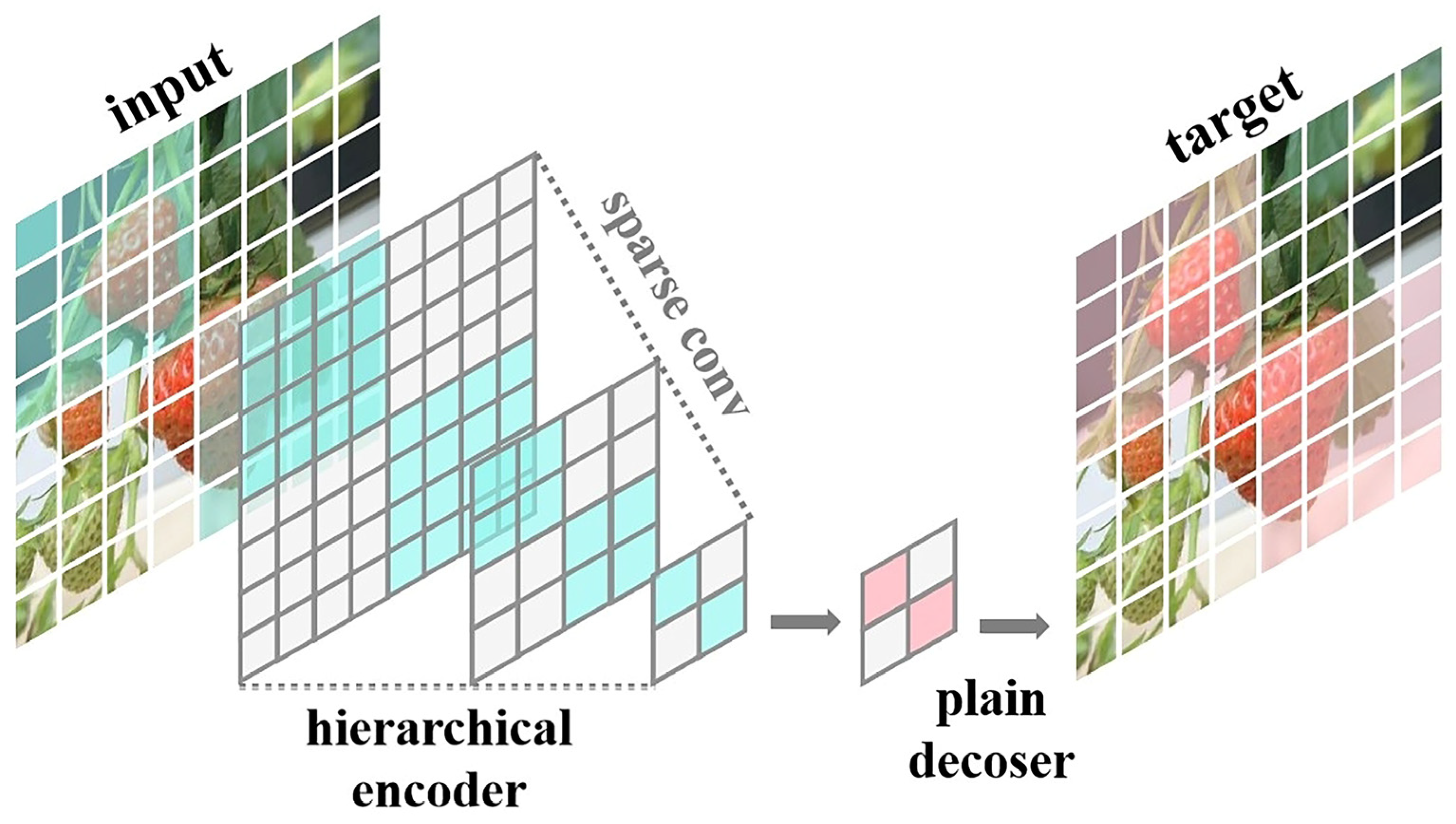 Agronomy 14 01353 g005