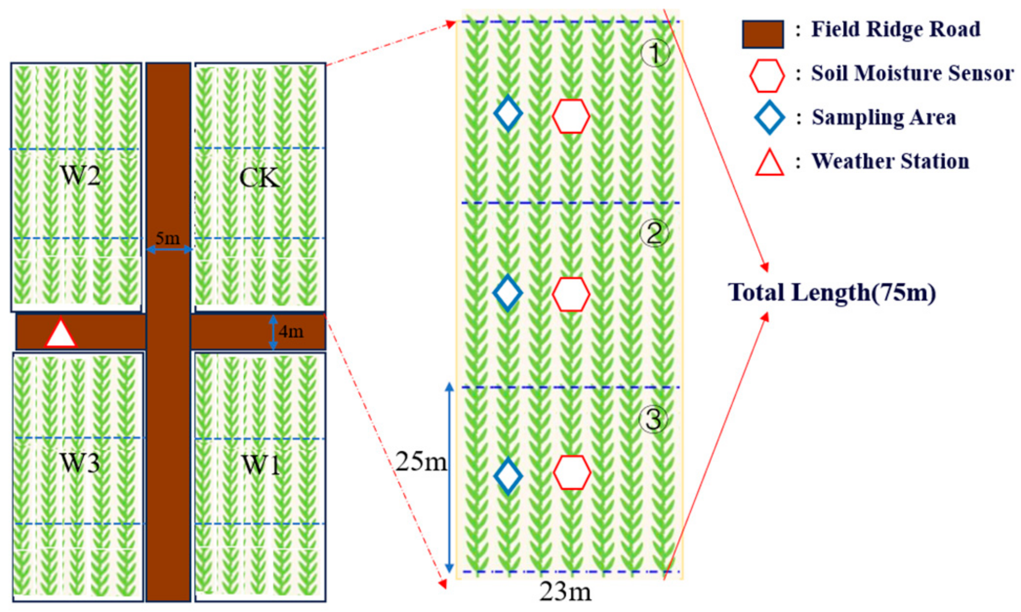 Agronomy 14 01363 g002