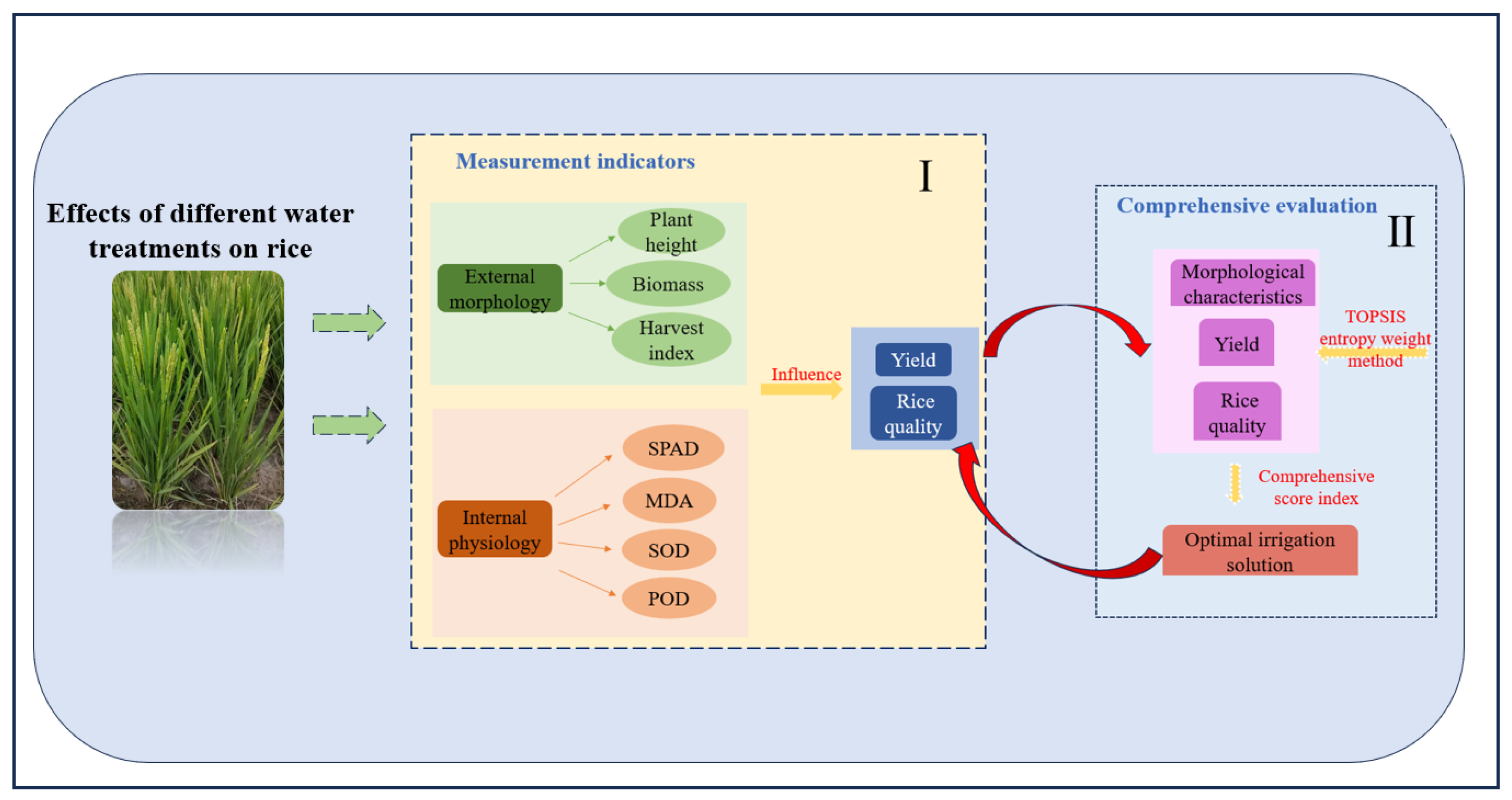 Agronomy 14 01363 g009