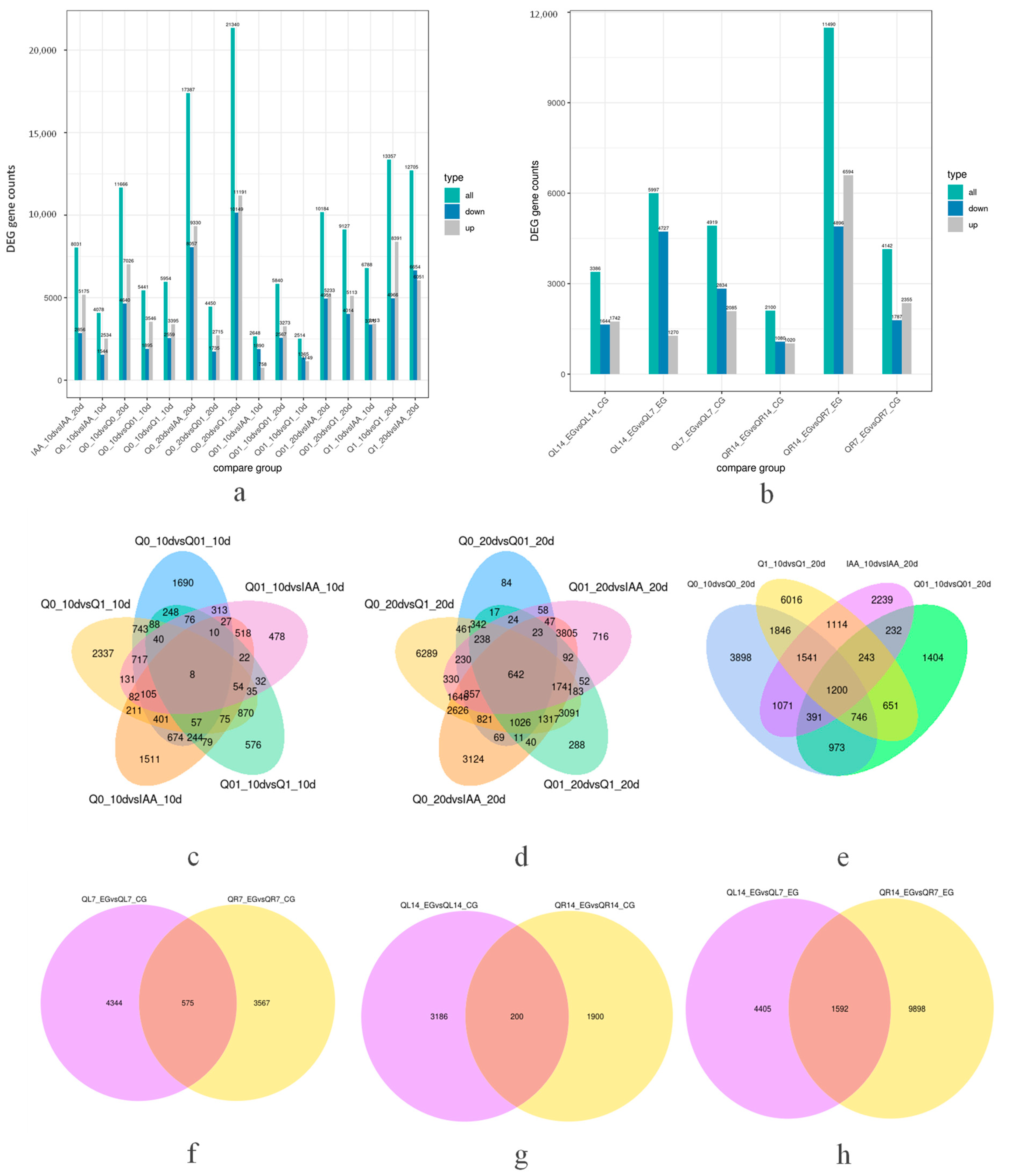Agronomy 14 01364 g002