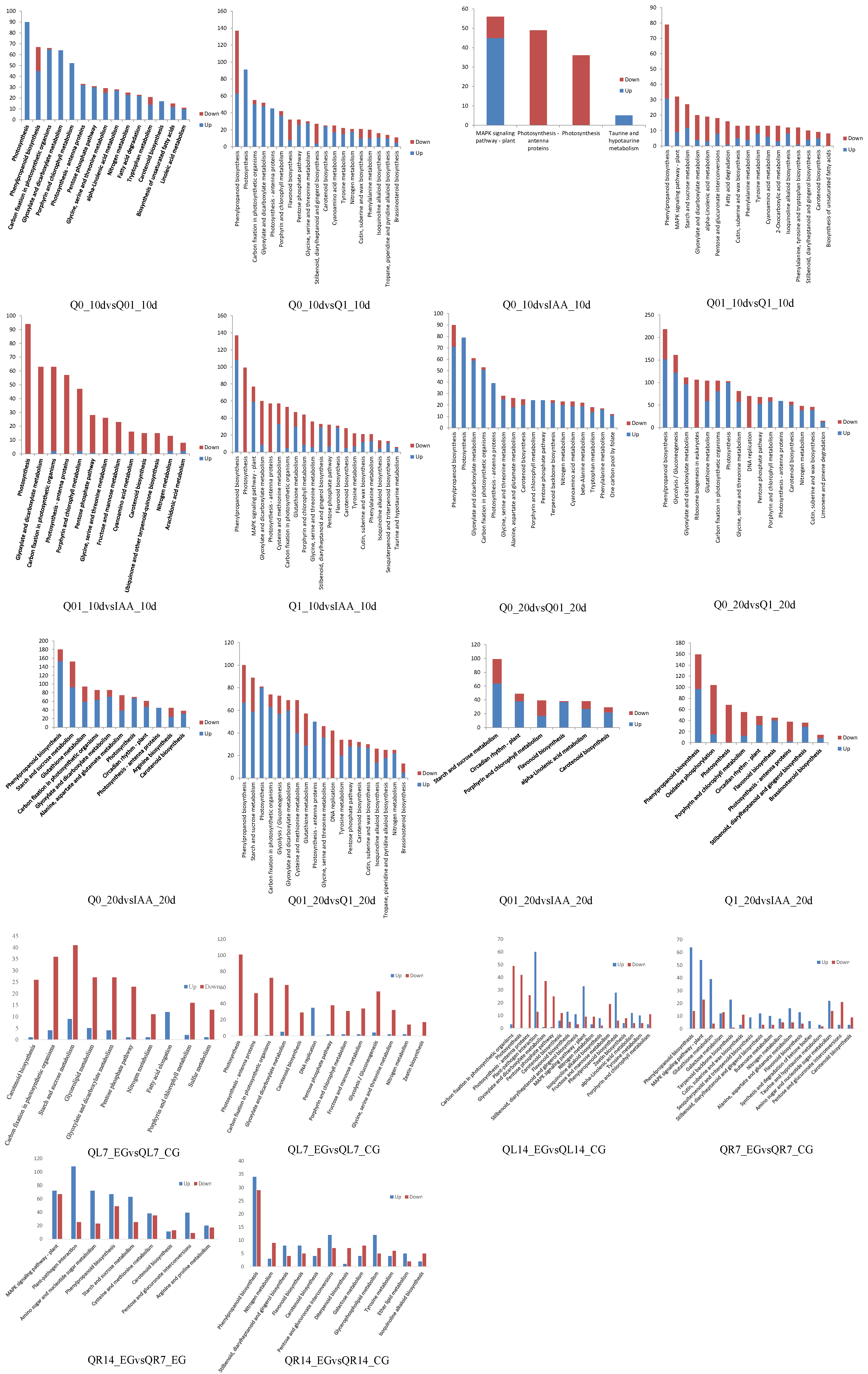 Agronomy 14 01364 g003