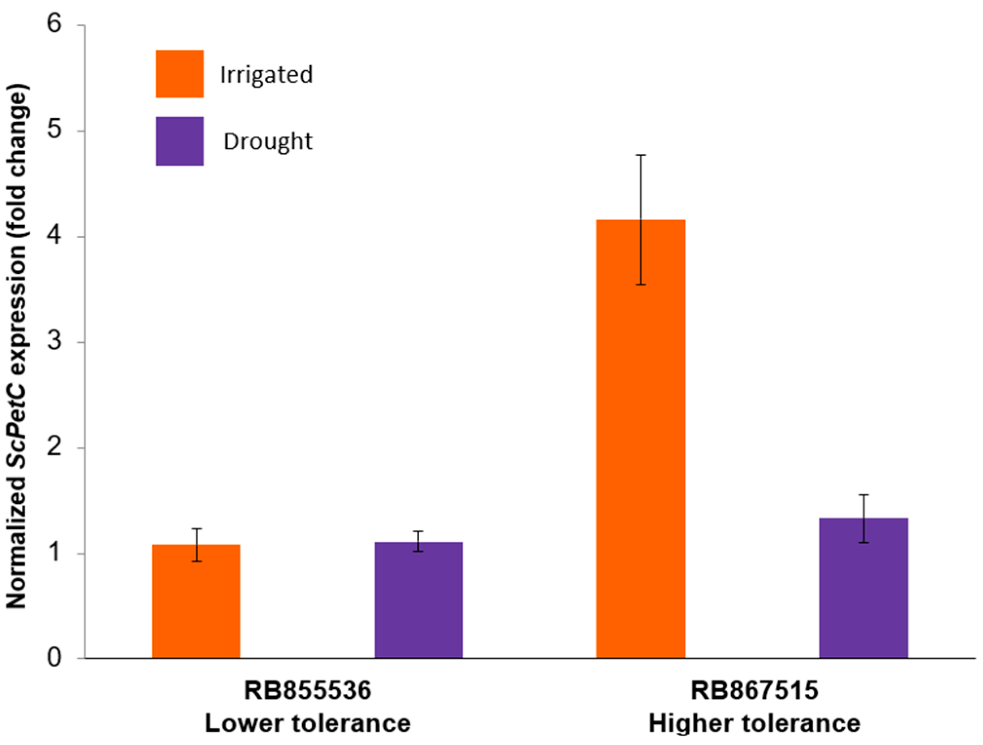 Agronomy 14 01371 g001