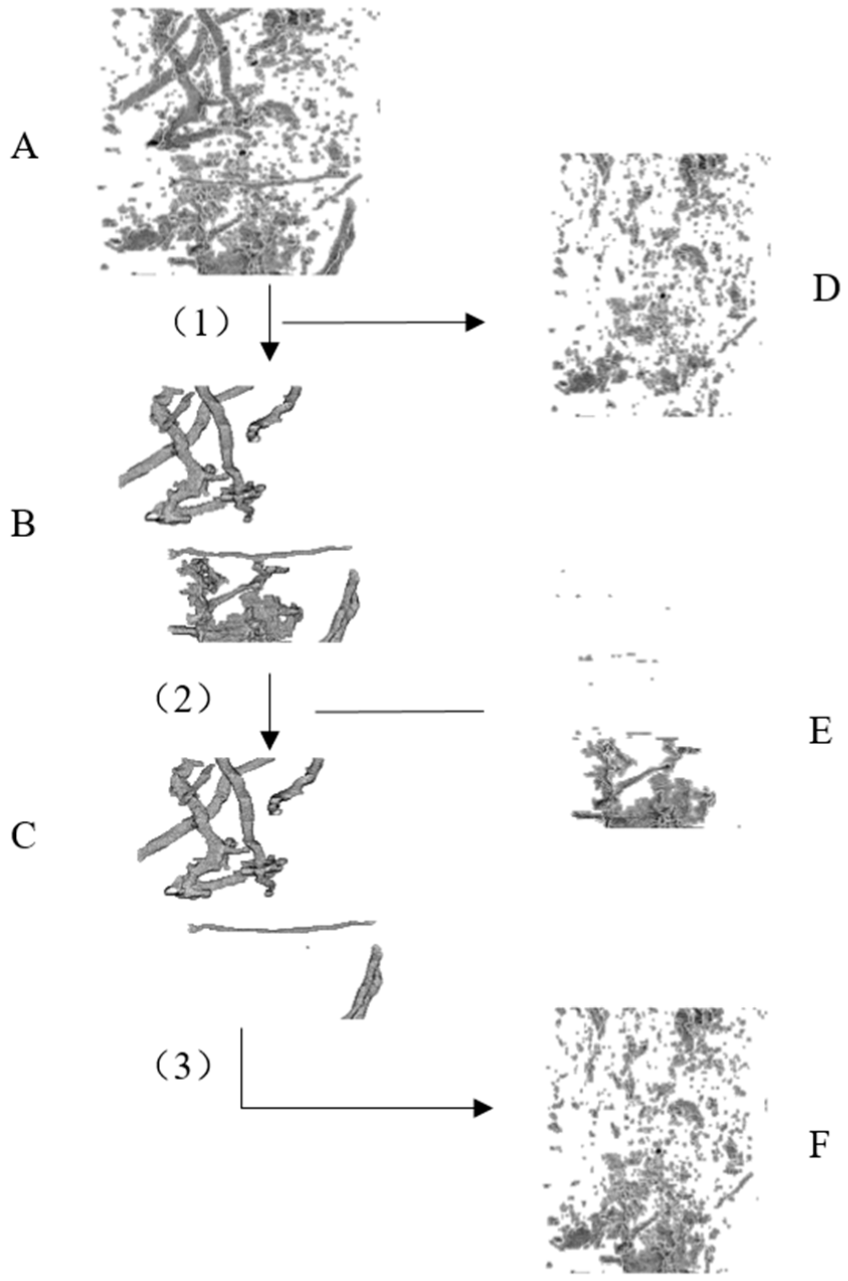 Agronomy 14 01378 g002
