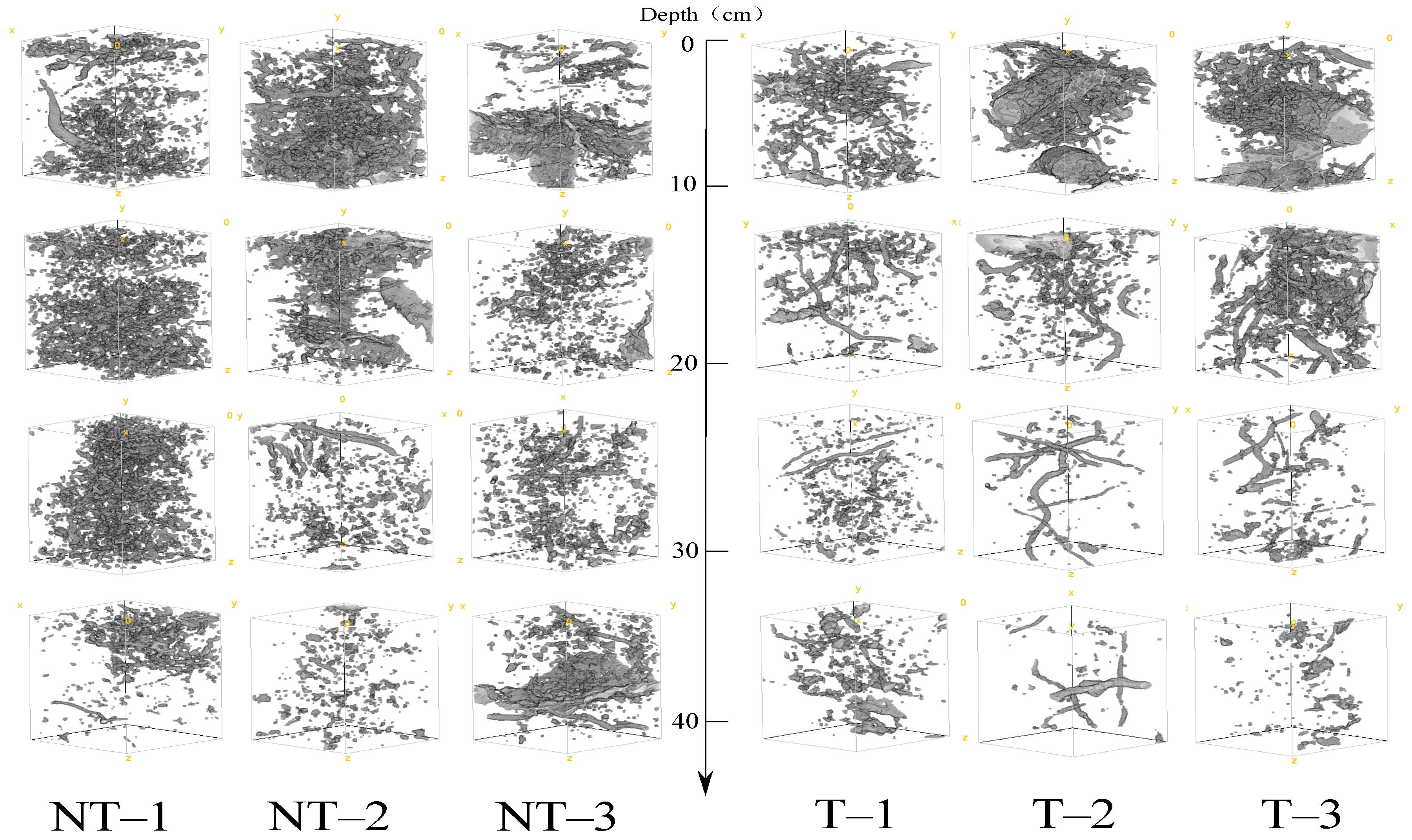 Agronomy 14 01378 g007