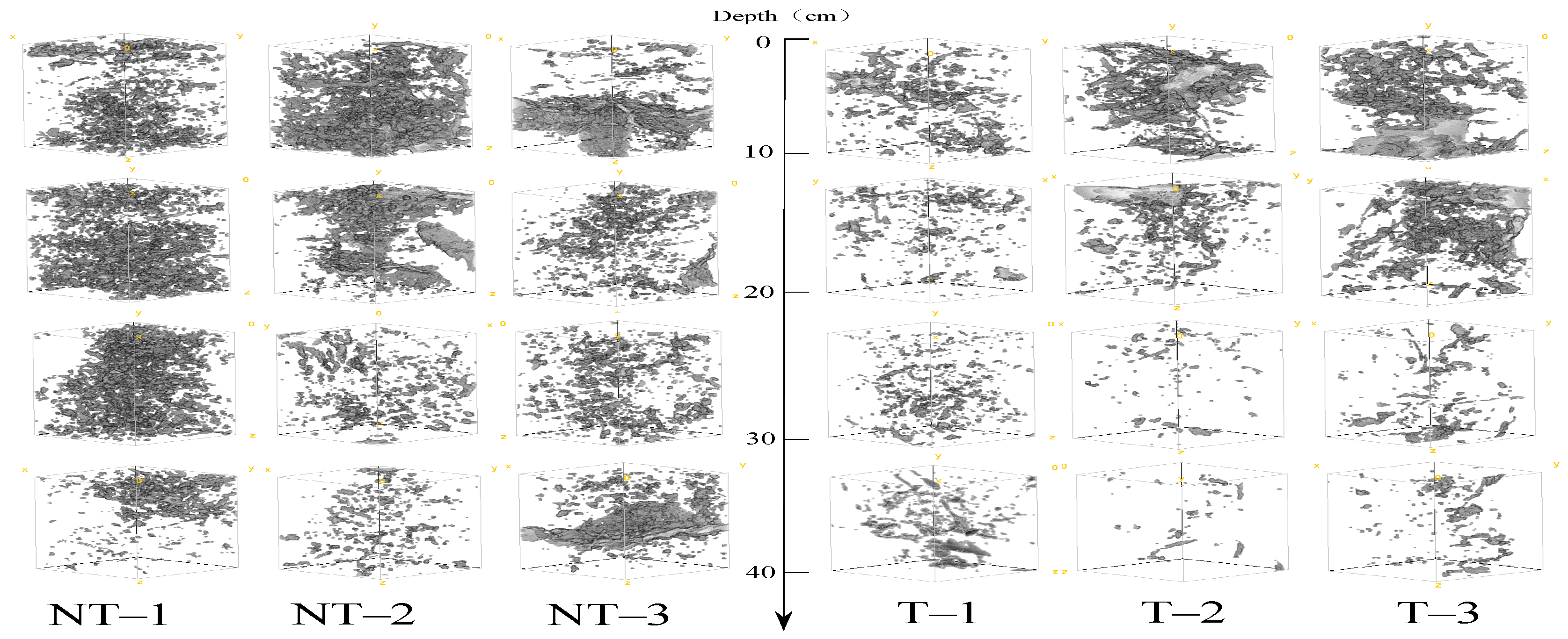 Agronomy 14 01378 g008