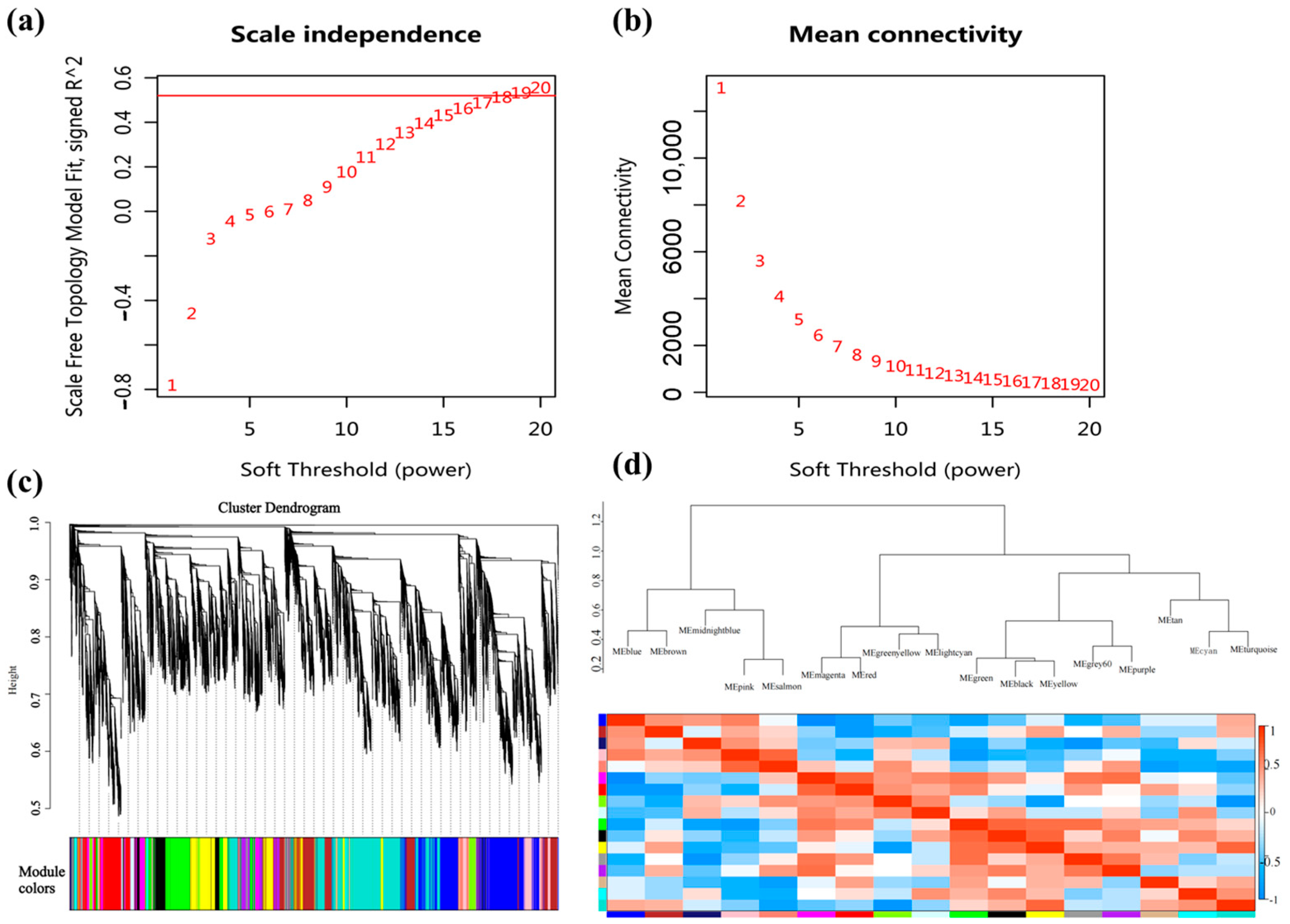 Agronomy 14 01380 g010