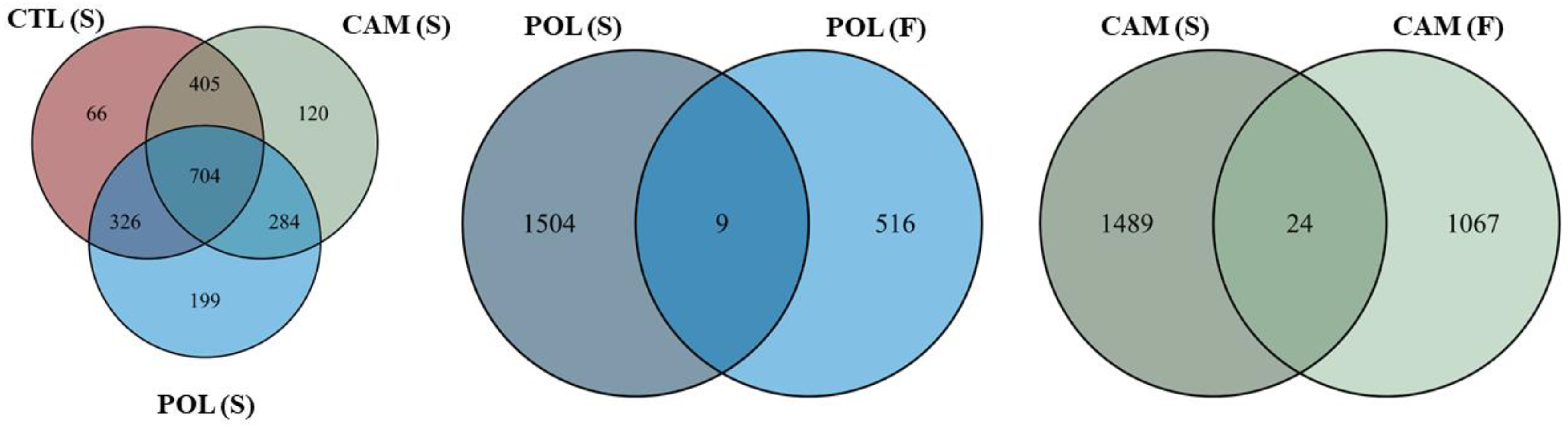 Agronomy 14 01382 g005 Agronomy 14 01382 g005