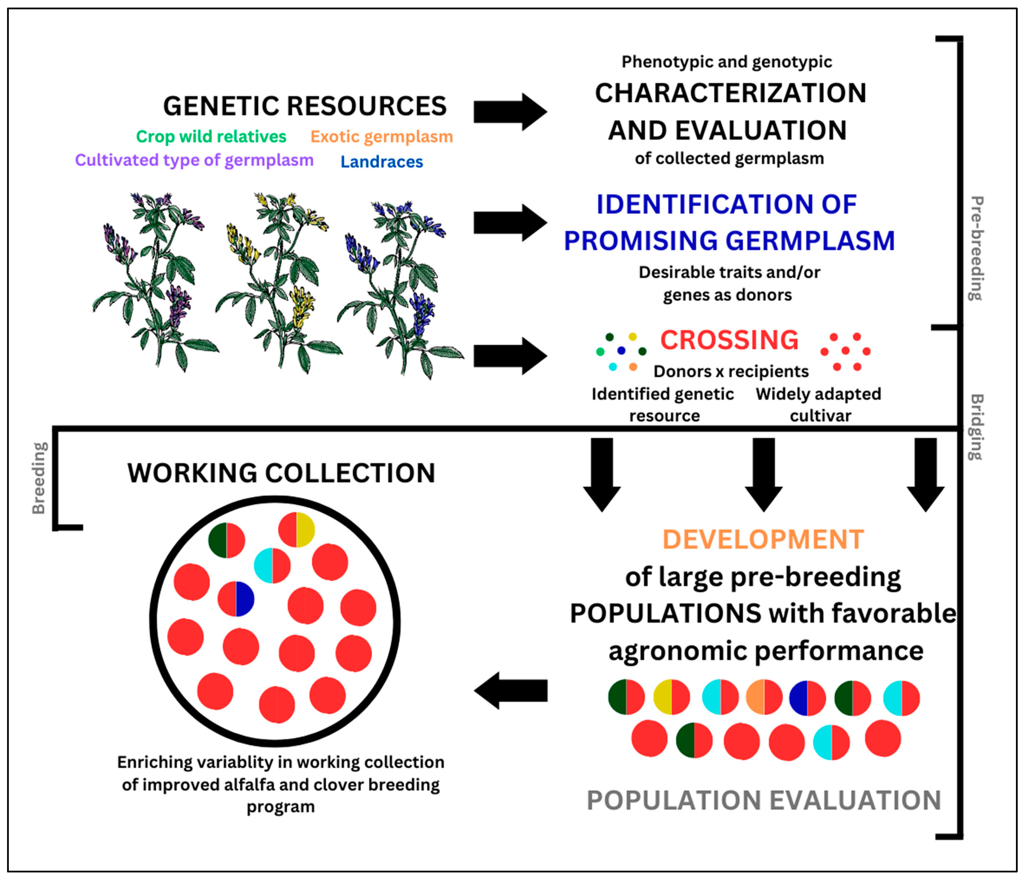 Agronomy 14 01385 g001
