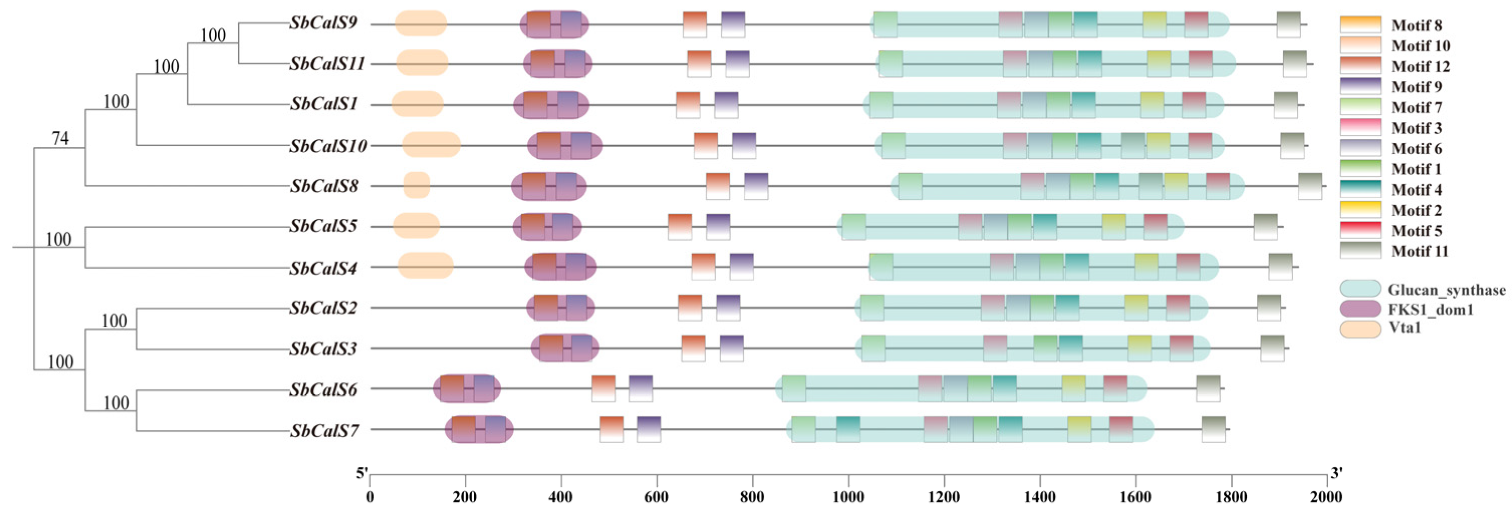 Agronomy 14 01393 g002