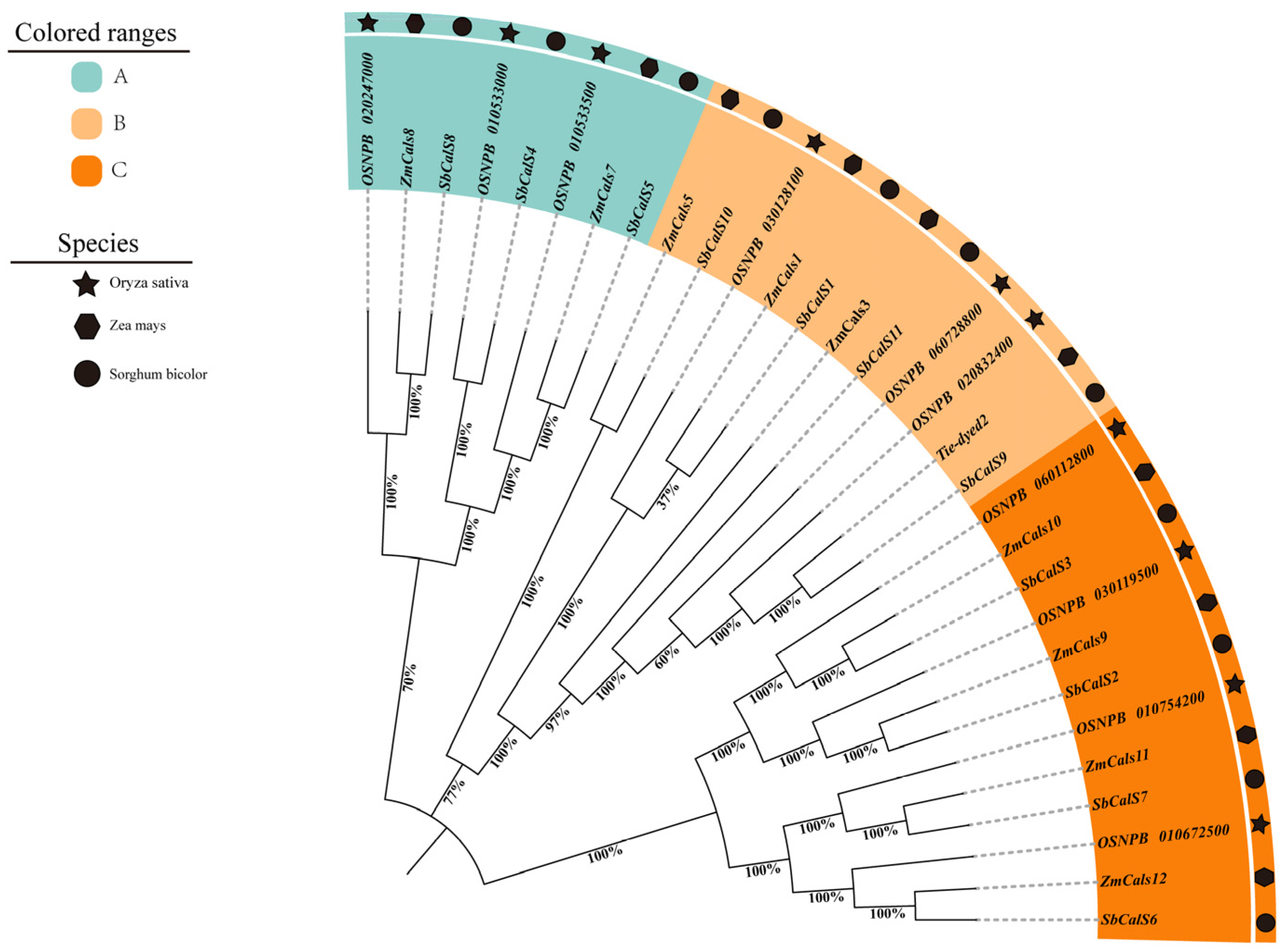 Agronomy 14 01393 g006