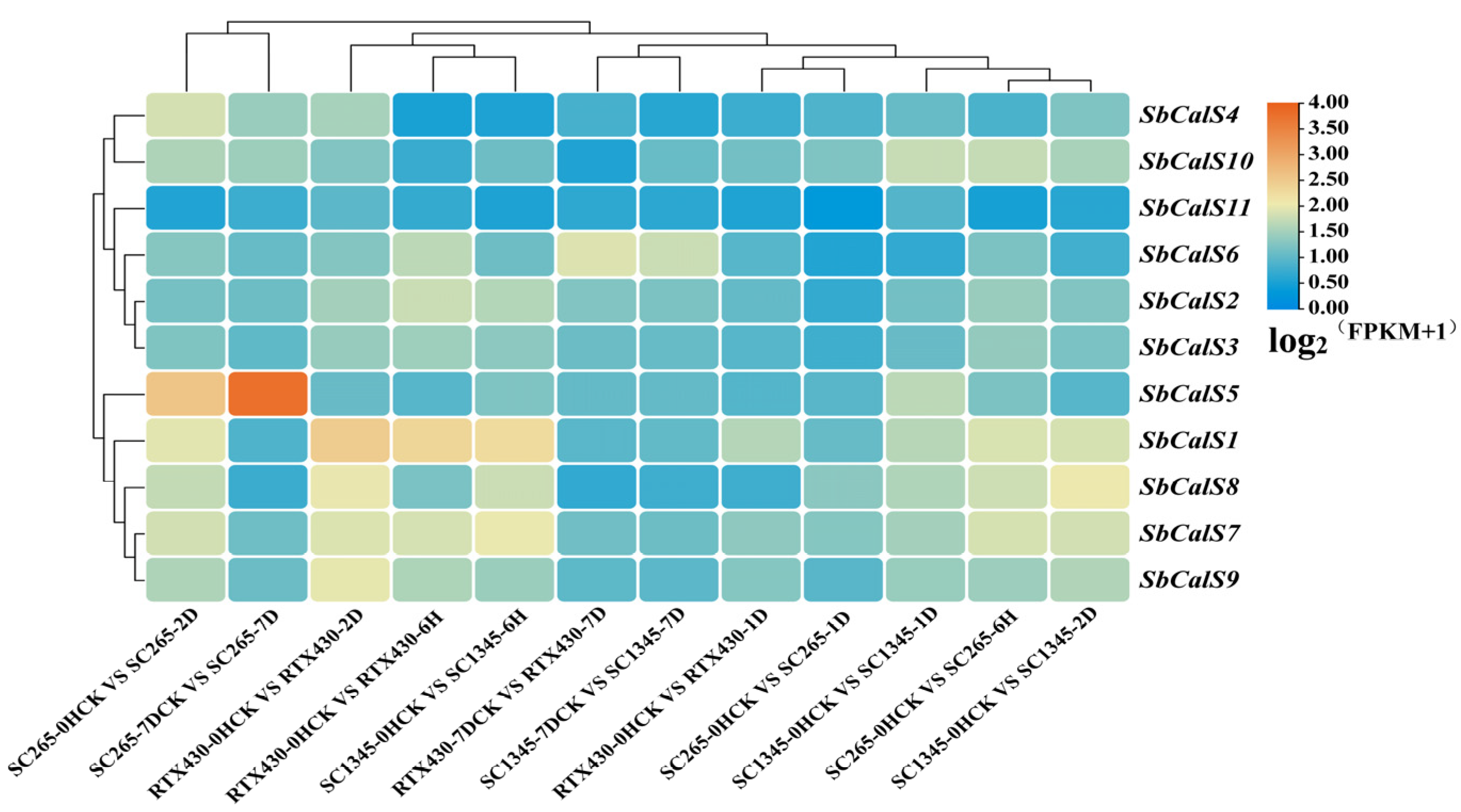 Agronomy 14 01393 g008