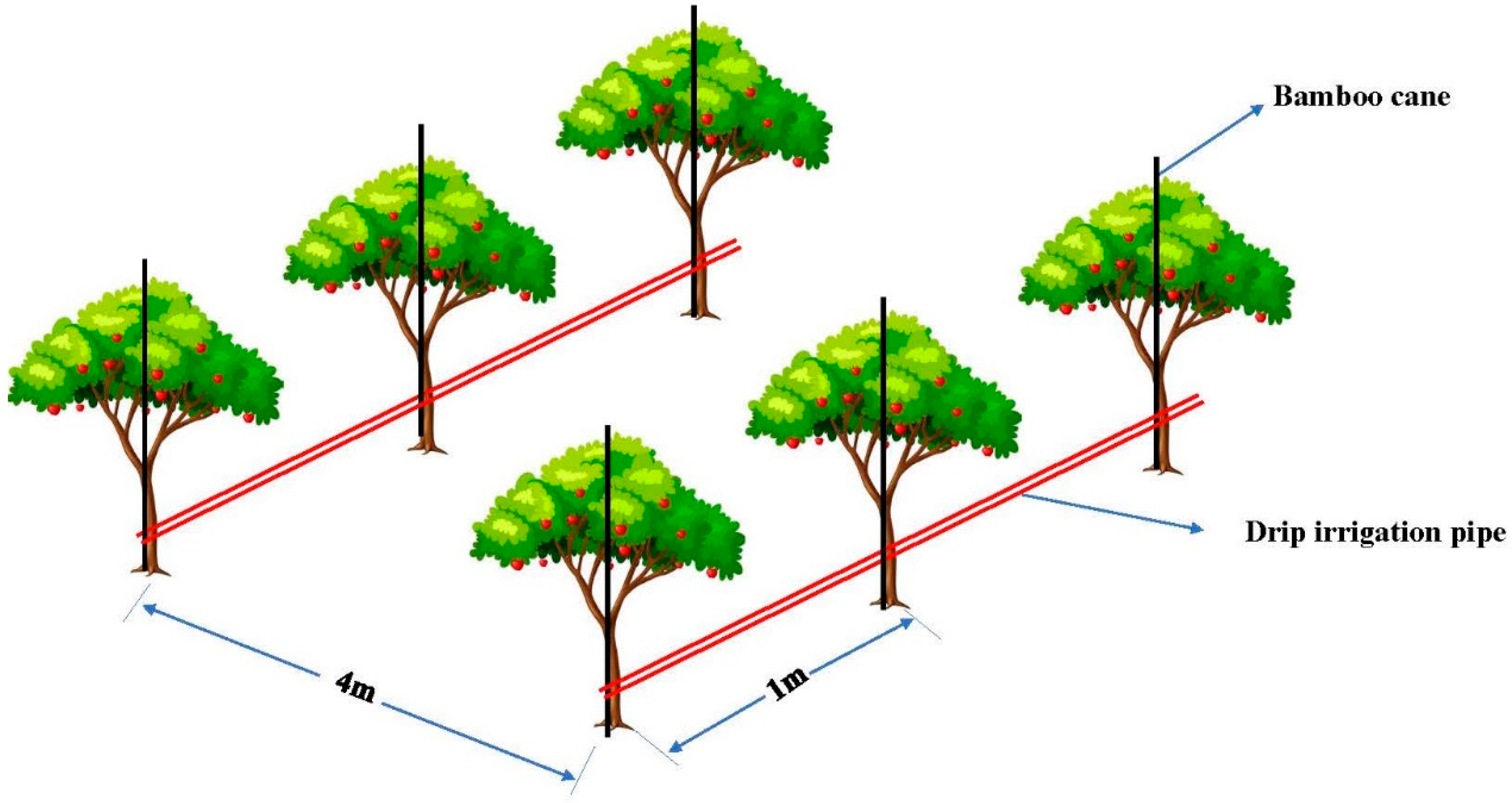 Agronomy 14 01403 g001