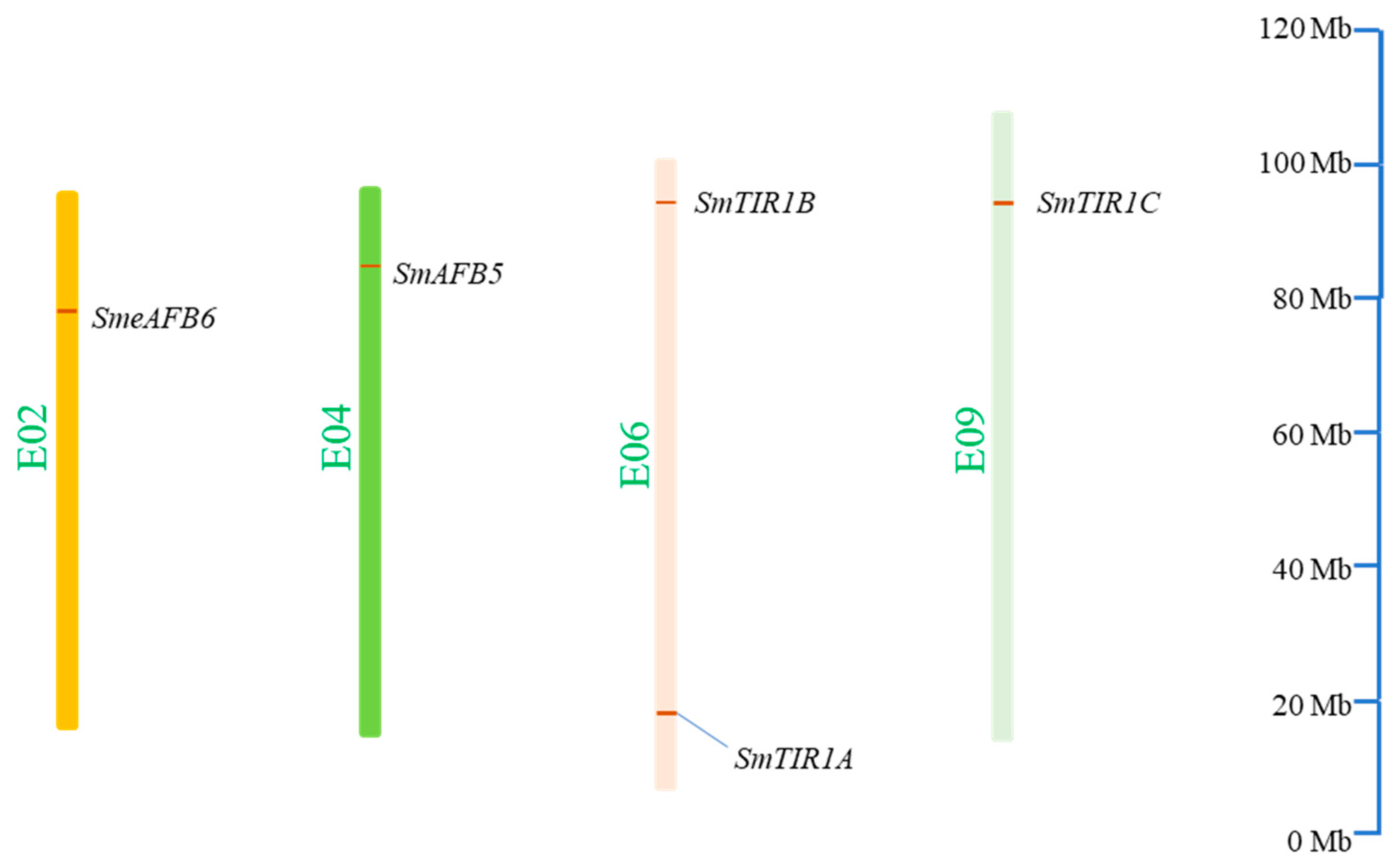 Agronomy 14 01413 g001