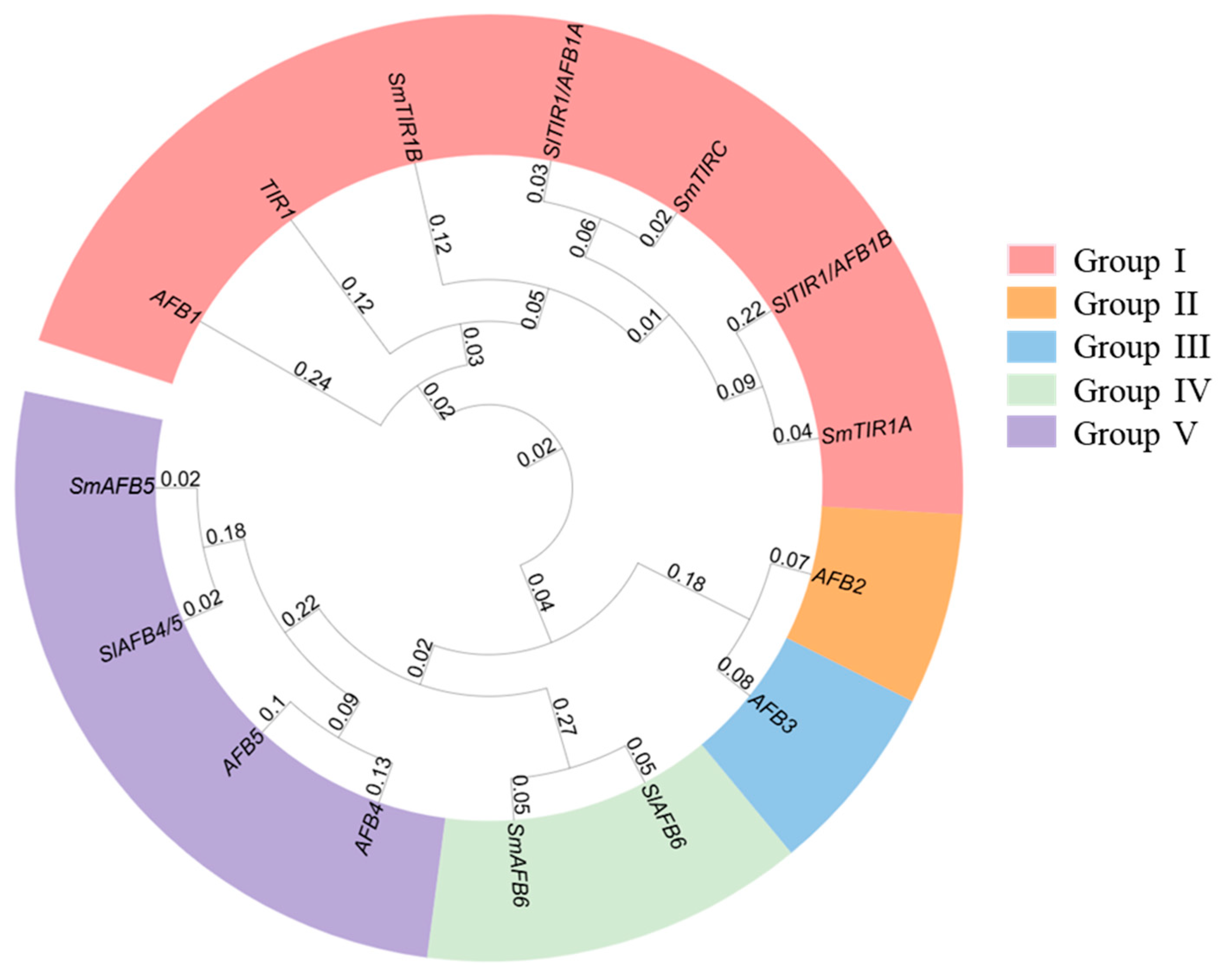 Agronomy 14 01413 g002