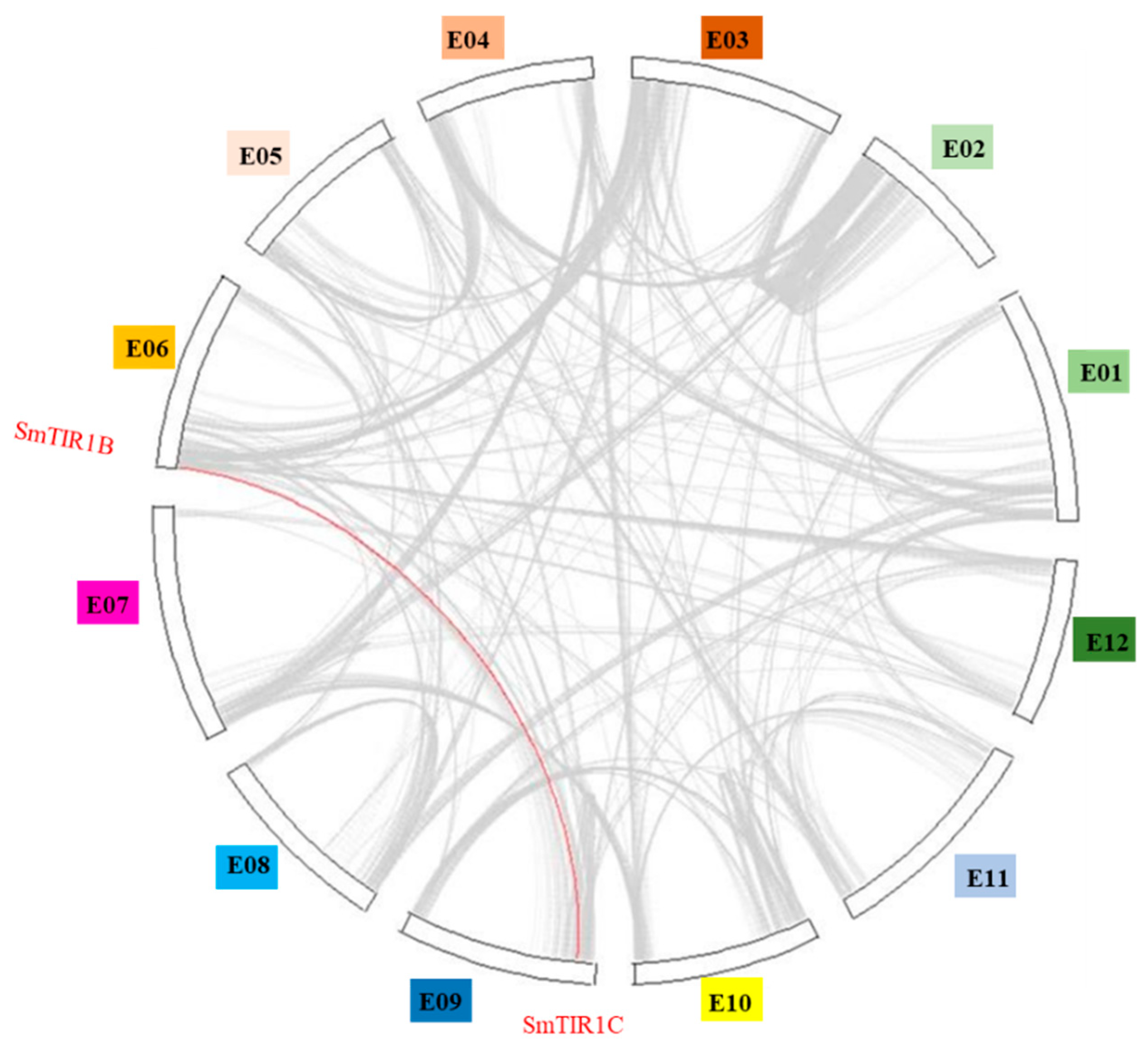 Agronomy 14 01413 g004