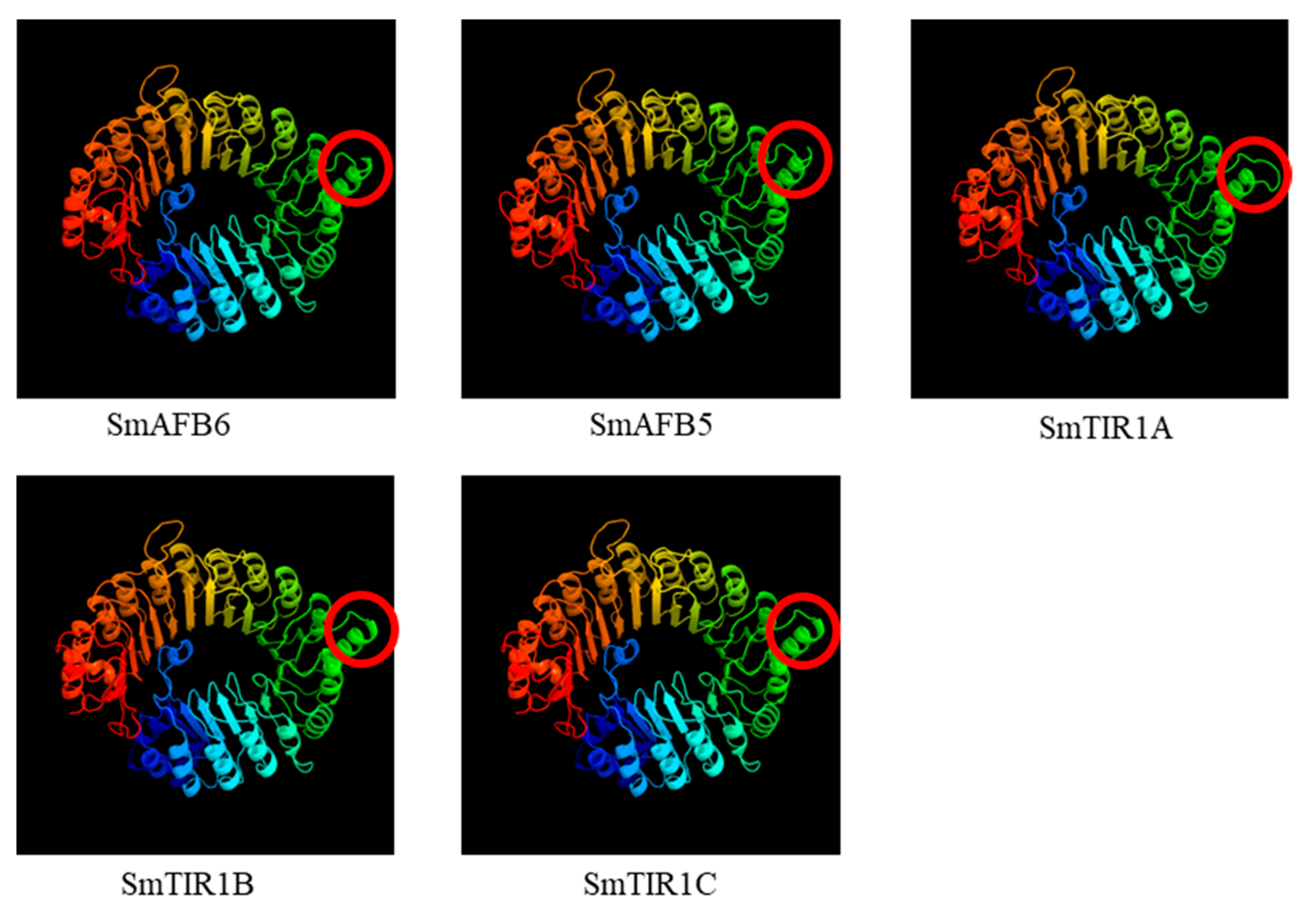 Agronomy 14 01413 g006