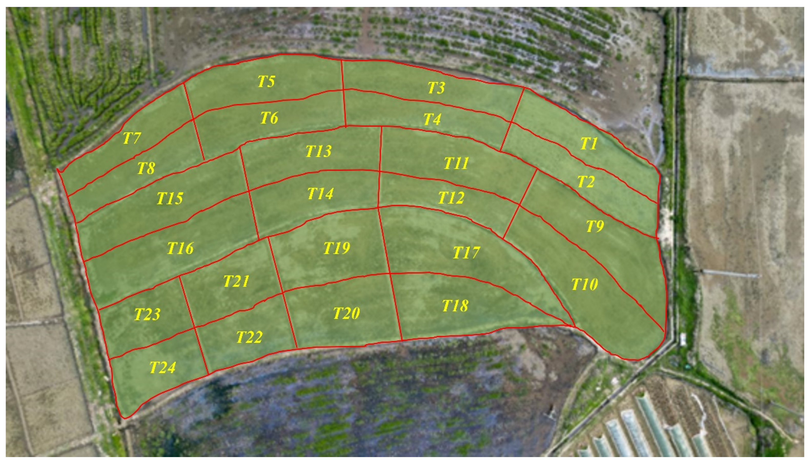 Agronomy 14 01422 g001