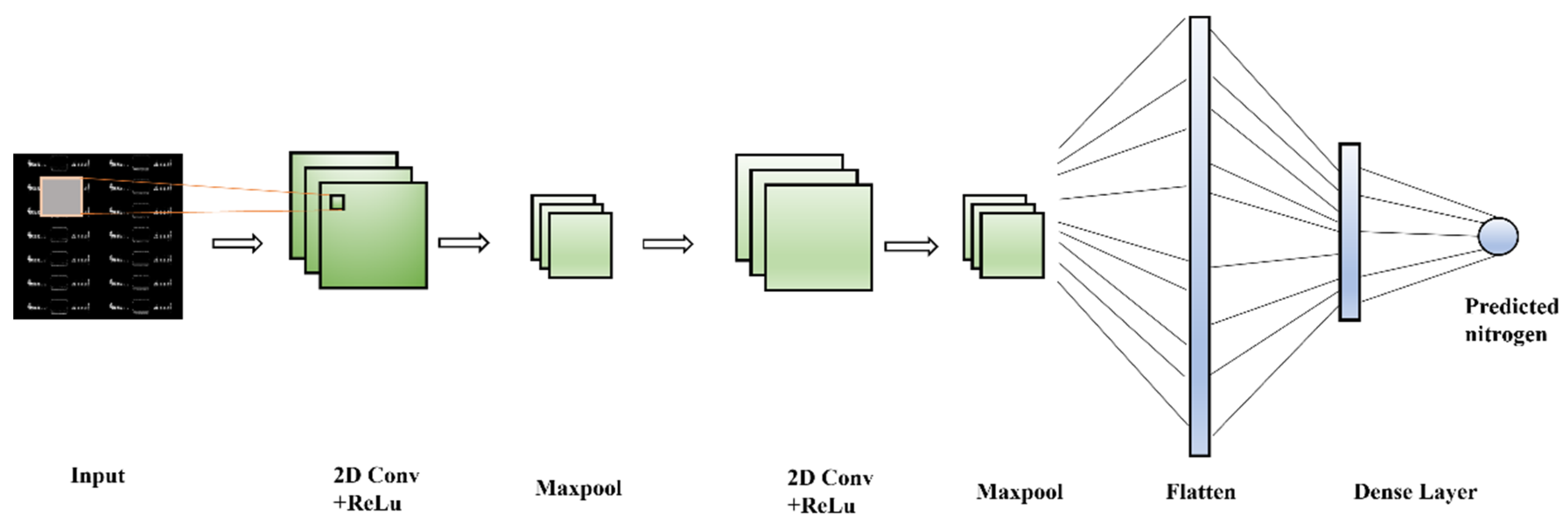 Agronomy 14 01422 g005
