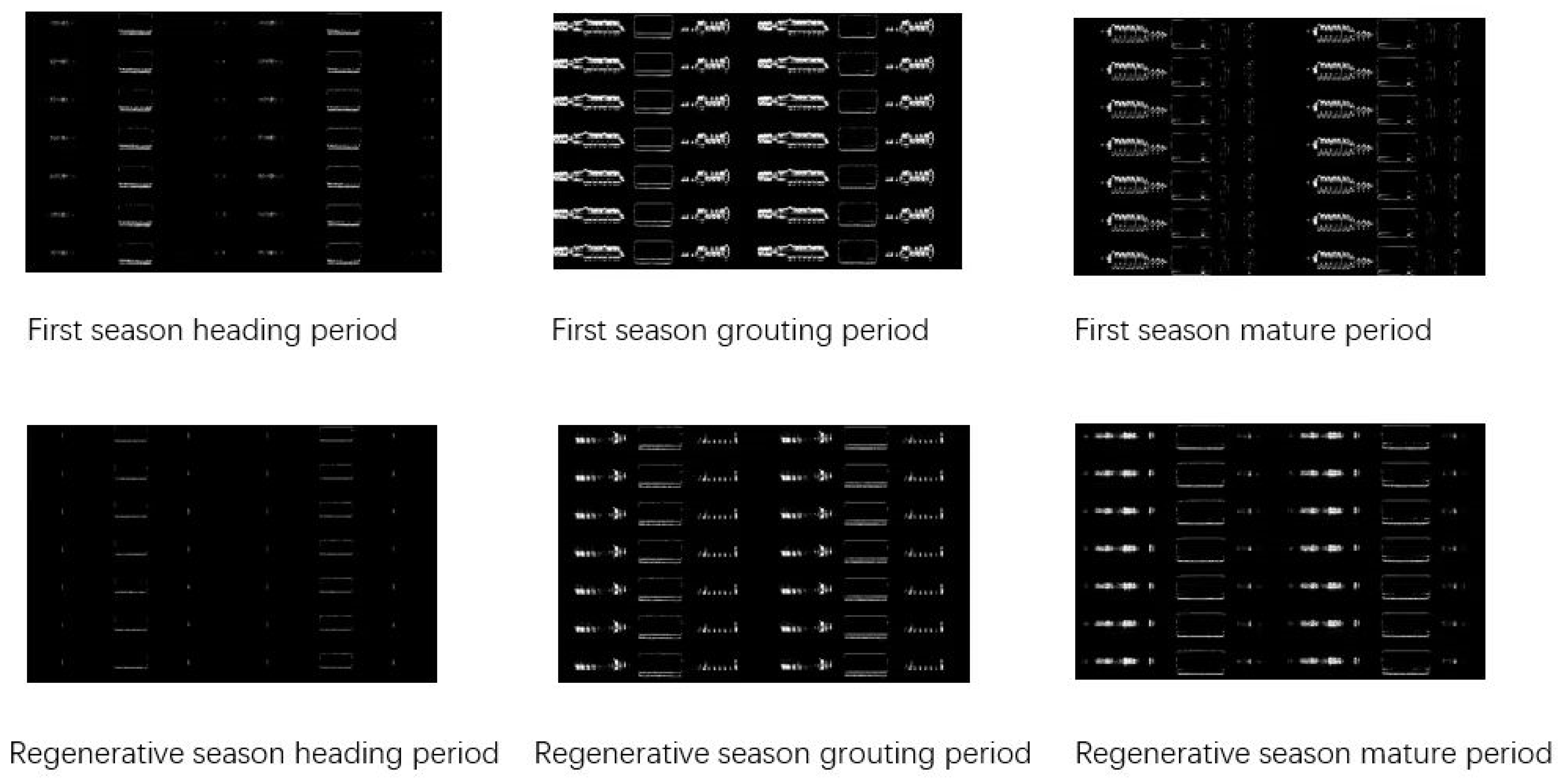 Agronomy 14 01422 g008