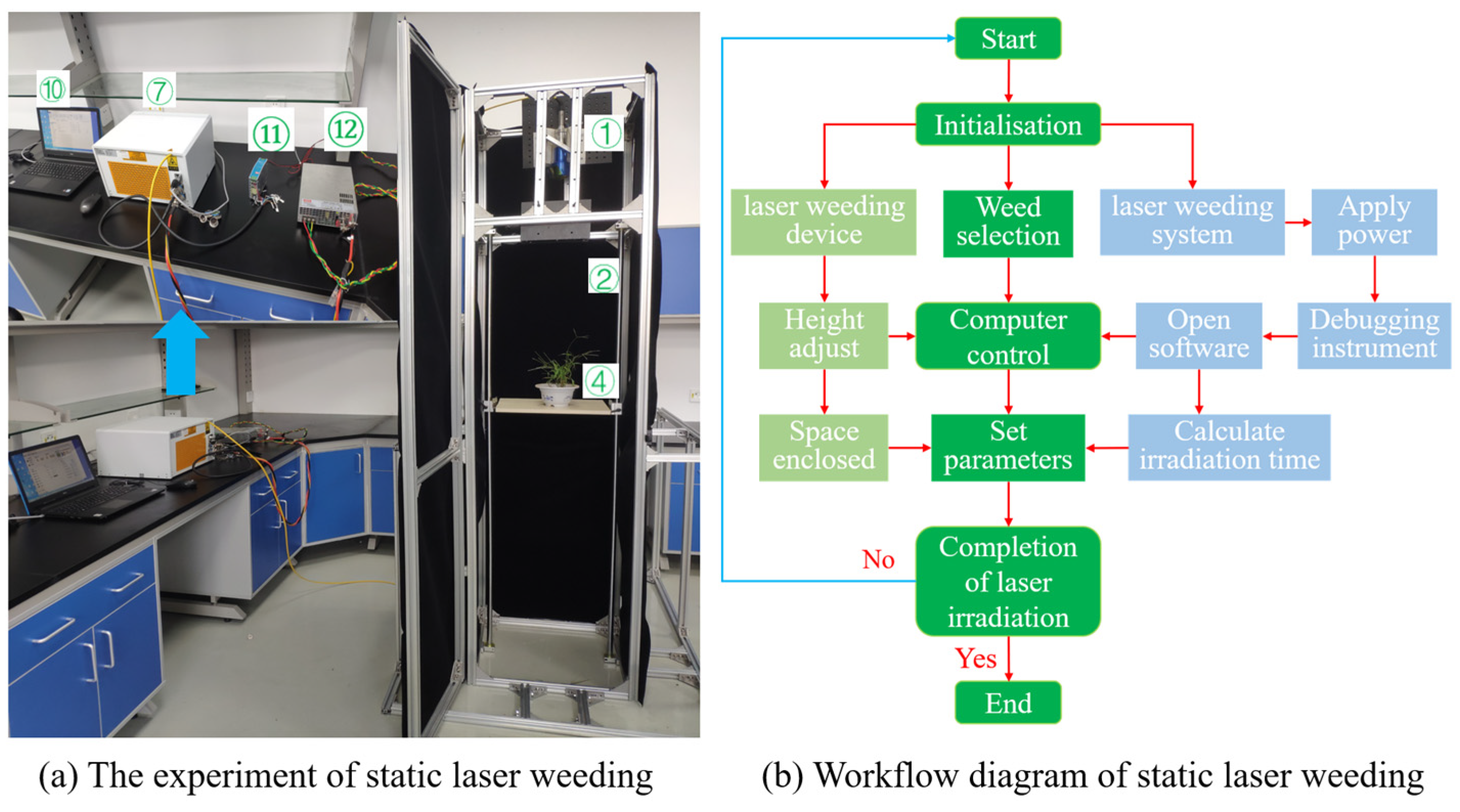 Agronomy 14 01426 g007