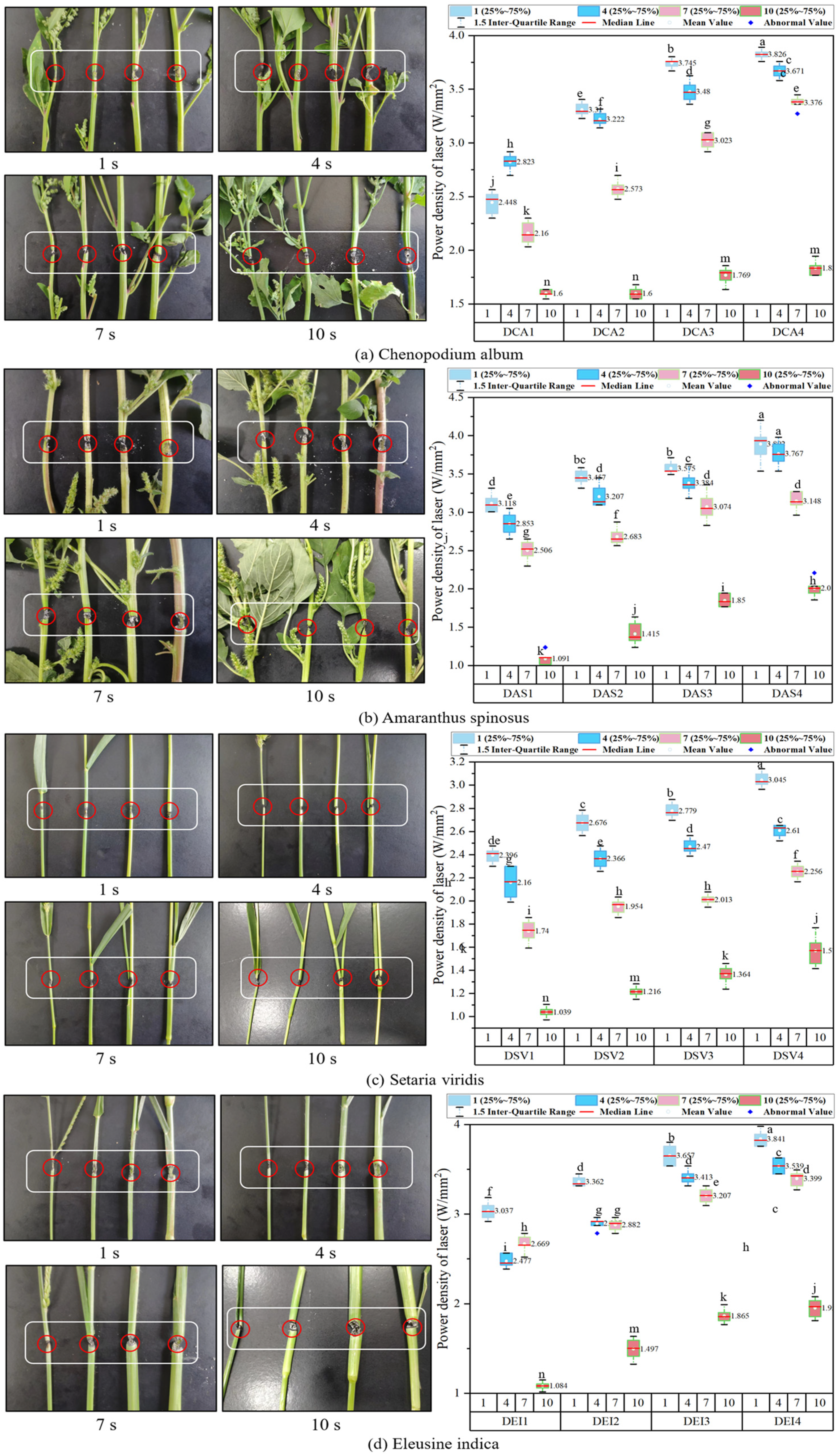 Agronomy 14 01426 g009