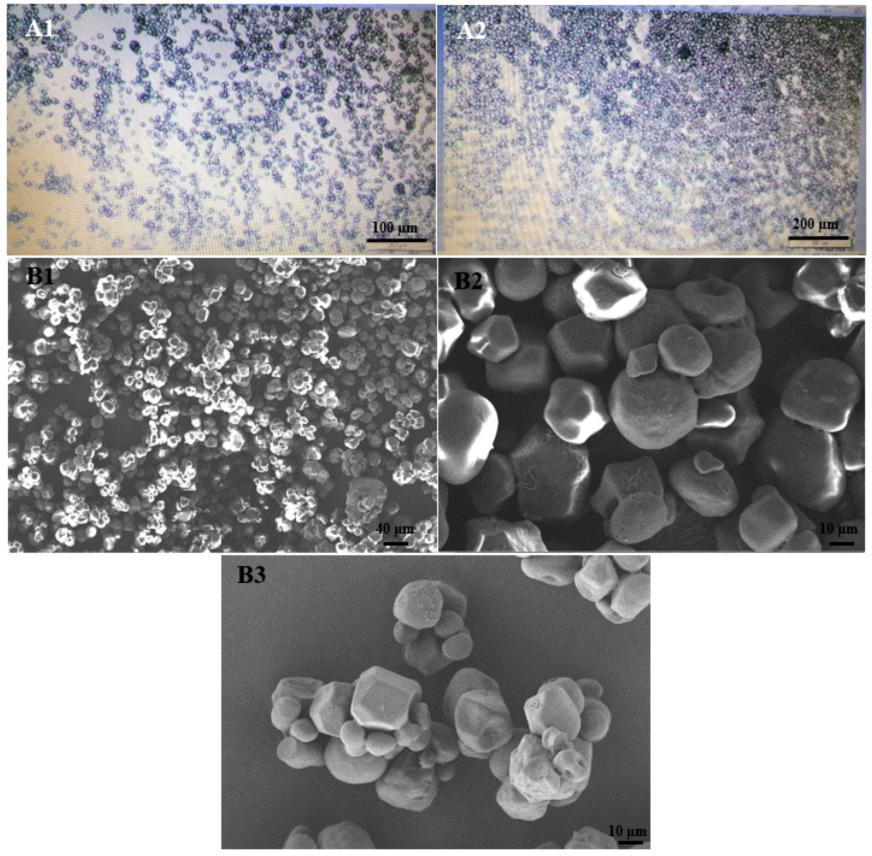 Agronomy 14 01431 g004