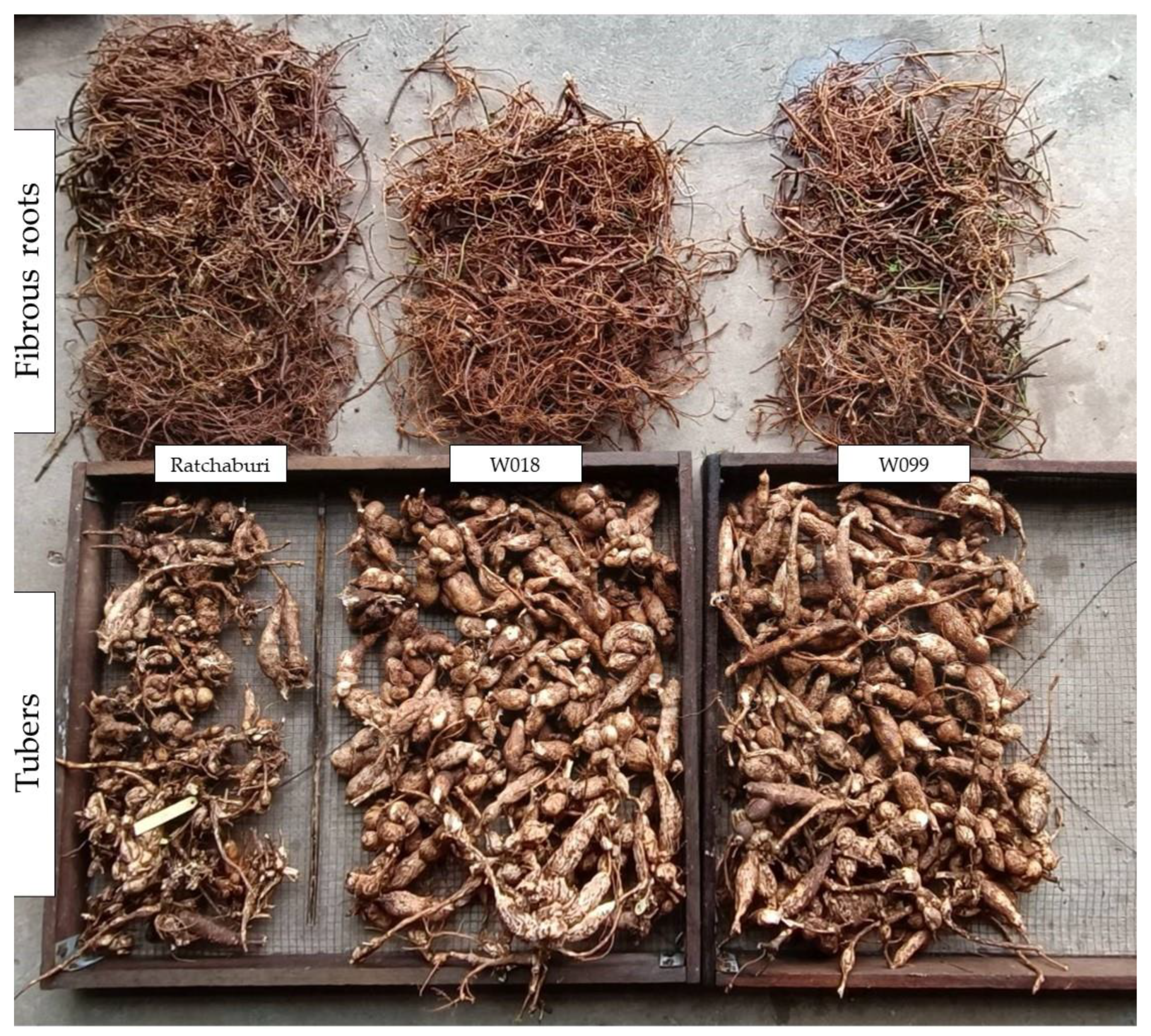 Agronomy 14 01433 g005